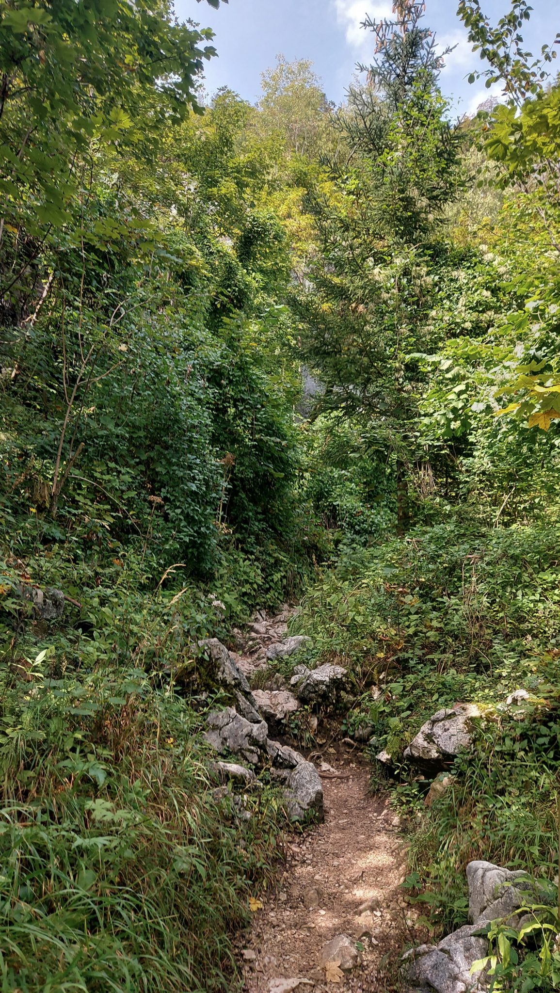 Wanderung zum Prielschutzhaus von Hinterstoder im Toten Gebirge in Oberösterreich, nach ebenem Wanderweg wird der Pfad ab Erreichen der vor einem liegenden Bergkette steil und bleibt dies bis zum Erreichen des Prielschutzhauses, erfordert einiges an Kondition, umgeben von dichtem, kühlendem Wald geht es über Stock und Stein, macht Spaß in hohem Tempo hoch zu wandern