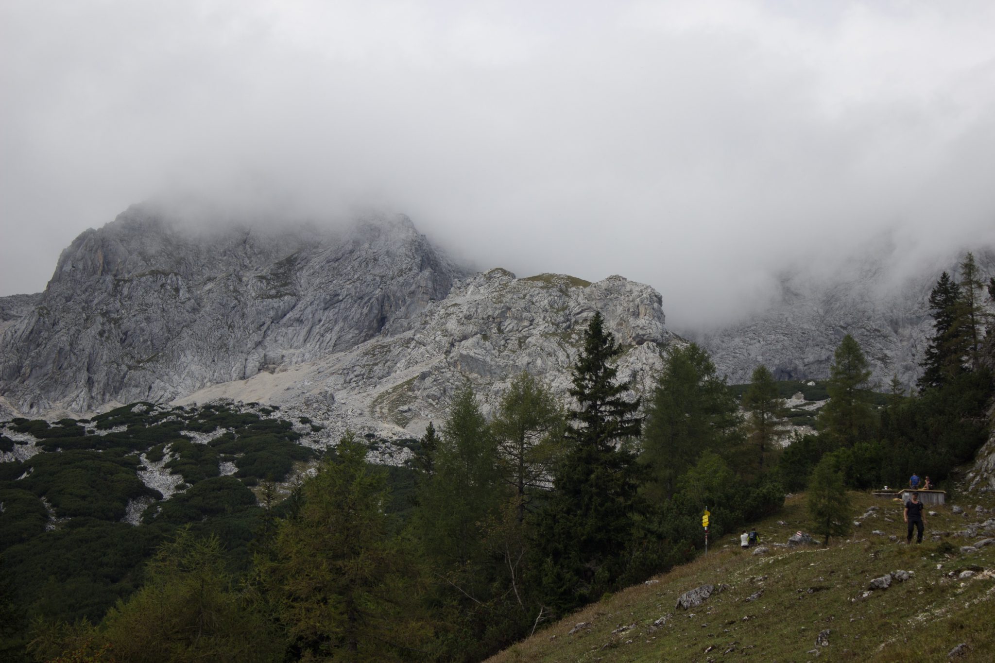 Wanderung zum Prielschutzhaus von Hinterstoder im Toten Gebirge in Oberösterreich, nach ebenem Wanderweg wird der Pfad ab Erreichen der vor einem liegenden Bergkette steil und bleibt dies bis zum Erreichen des Prielschutzhauses, erfordert einiges an Kondition, kurz vor Erreichen des Prielschutzhauses lichtet sich der Wald, aber es ist wolkig und angenehm kühl, geht über Stock und Stein, macht Spaß in hohem Tempo hoch zu wandern