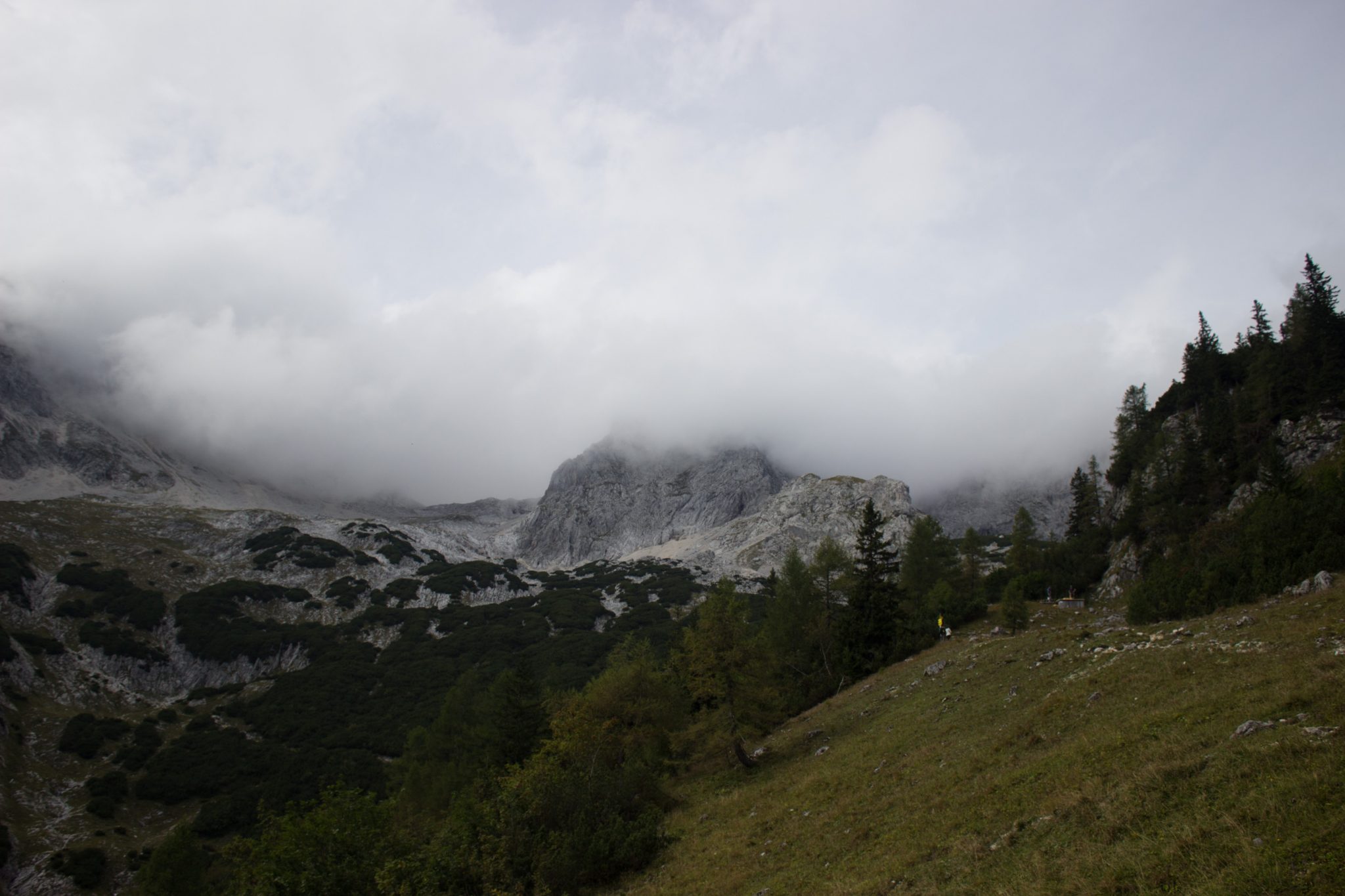 Wanderung zum Prielschutzhaus von Hinterstoder im Toten Gebirge in Oberösterreich, nach ebenem Wanderweg wird der Pfad ab Erreichen der vor einem liegenden Bergkette steil und bleibt dies bis zum Erreichen des Prielschutzhauses, erfordert einiges an Kondition, kurz vor Erreichen des Prielschutzhauses lichtet sich der Wald, aber es ist wolkig und angenehm kühl, geht über Stock und Stein, macht Spaß in hohem Tempo hoch zu wandern