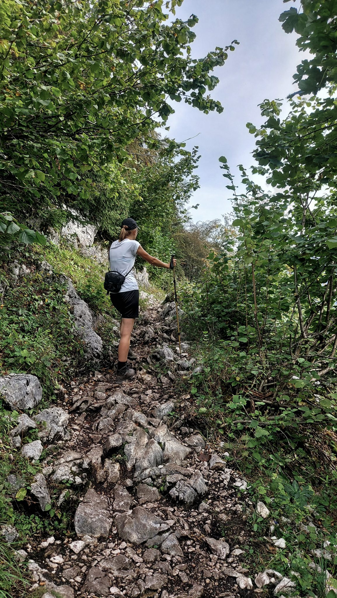 Wanderung zum Prielschutzhaus von Hinterstoder im Toten Gebirge in Oberösterreich, nach ebenem Wanderweg wird der Pfad ab Erreichen der vor einem liegenden Bergkette steil und bleibt dies bis zum Erreichen des Prielschutzhauses, erfordert einiges an Kondition, umgeben von meist dichtem und kühlendem Wald geht es über Stock und Stein, macht Spaß in hohem Tempo hoch zu wandern