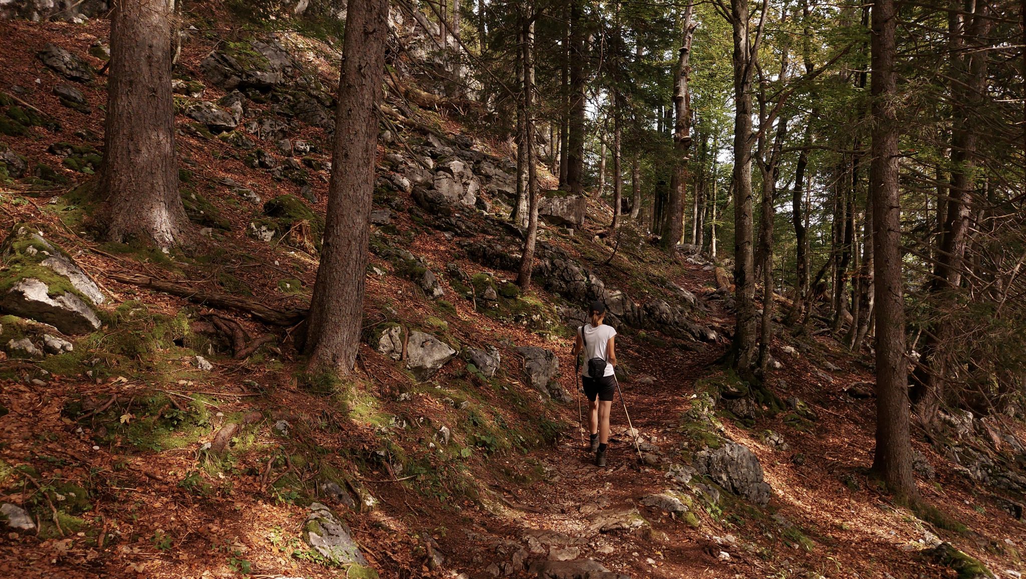 Wanderung zum Prielschutzhaus von Hinterstoder im Toten Gebirge in Oberösterreich, nach ebenem Wanderweg wird der Pfad ab Erreichen der vor einem liegenden Bergkette steil und bleibt dies bis zum Erreichen des Prielschutzhauses, erfordert einiges an Kondition, umgeben von dichtem, kühlendem Wald geht es über Stock und Stein, Wanderer hat Spaß daran in hohem Tempo hoch zu wandern