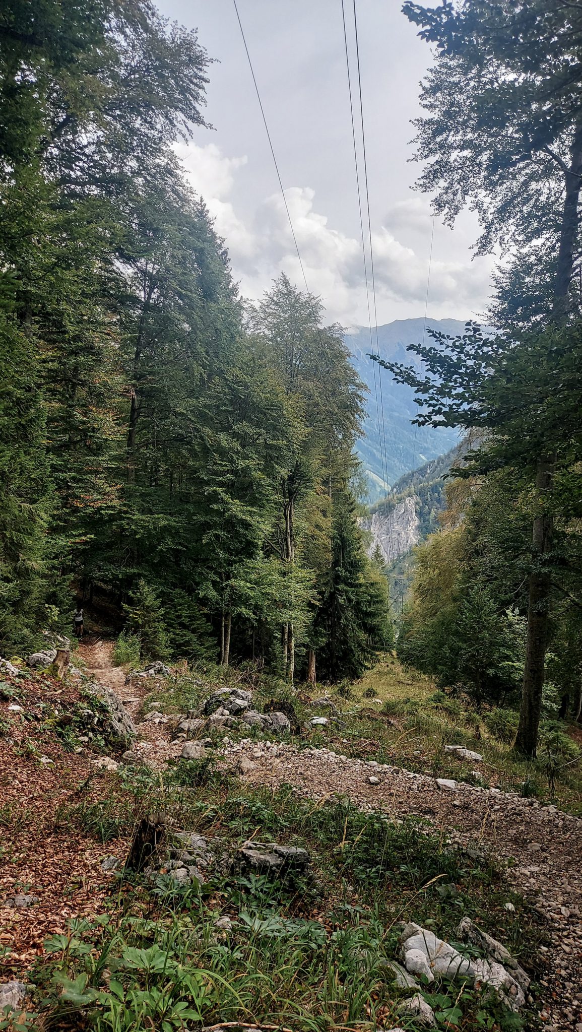 Wanderung zum Prielschutzhaus von Hinterstoder im Toten Gebirge in Oberösterreich, nach ebenem Wanderweg wird der Pfad ab Erreichen der vor einem liegenden Bergkette steil und bleibt dies bis zum Erreichen des Prielschutzhauses, erfordert einiges an Kondition, umgeben von meist dichtem und kühlendem Wald geht es über Stock und Stein, Wanderer hat Spaß daran in hohem Tempo hoch zu wandern