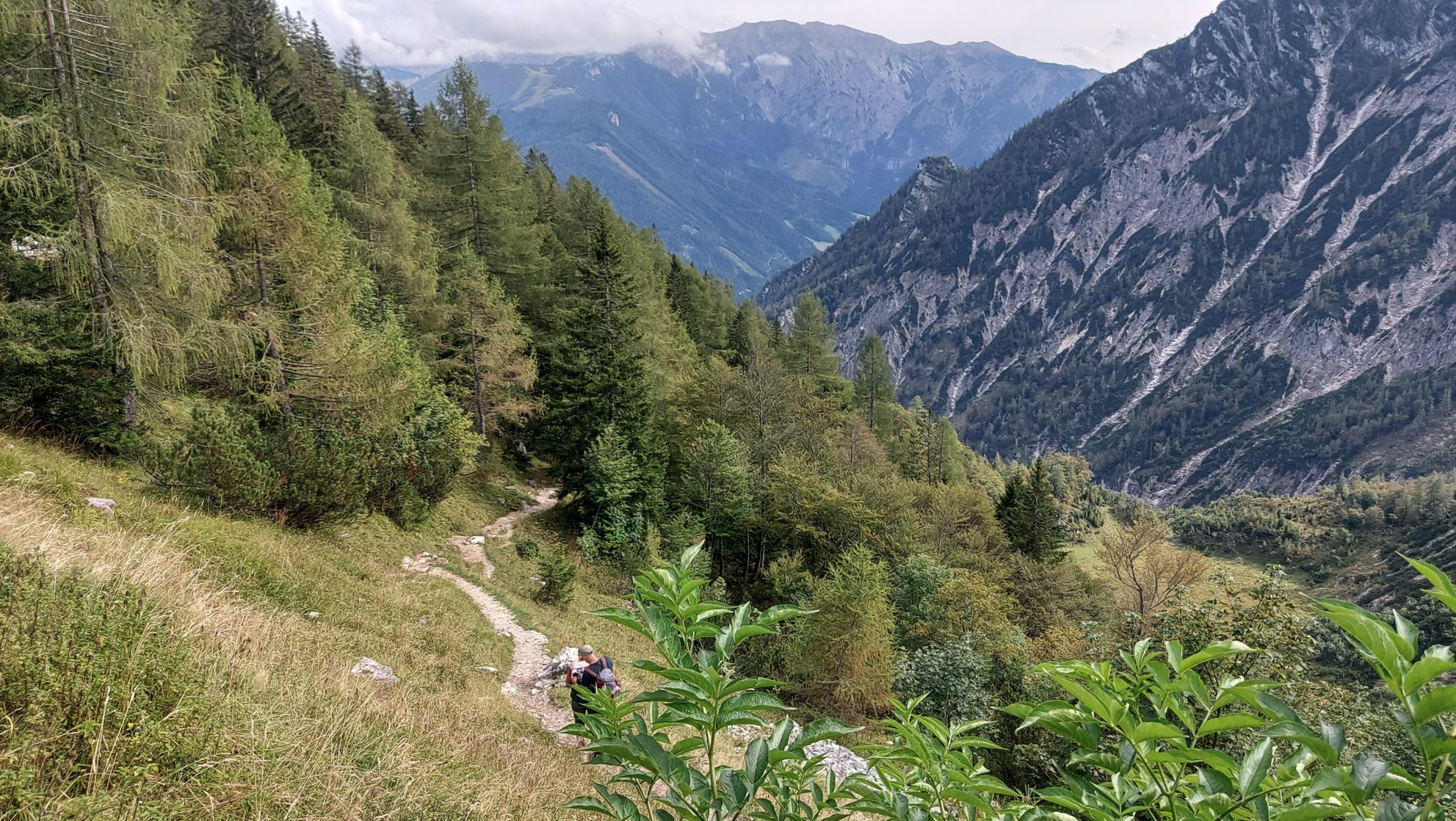 Wanderung zum Prielschutzhaus von Hinterstoder im Toten Gebirge in Oberösterreich, nach ebenem Wanderweg wird der Pfad ab Erreichen der vor einem liegenden Bergkette steil und bleibt dies bis zum Erreichen des Prielschutzhauses, erfordert einiges an Kondition, kurz vor Erreichen des Prielschutzhauses lichtet sich der Wald, aber es ist wolkig und angenehm kühl, geht über Stock und Stein, macht Spaß in hohem Tempo hoch zu wandern, die Aussicht auf die umliegenden Berge ist grandios