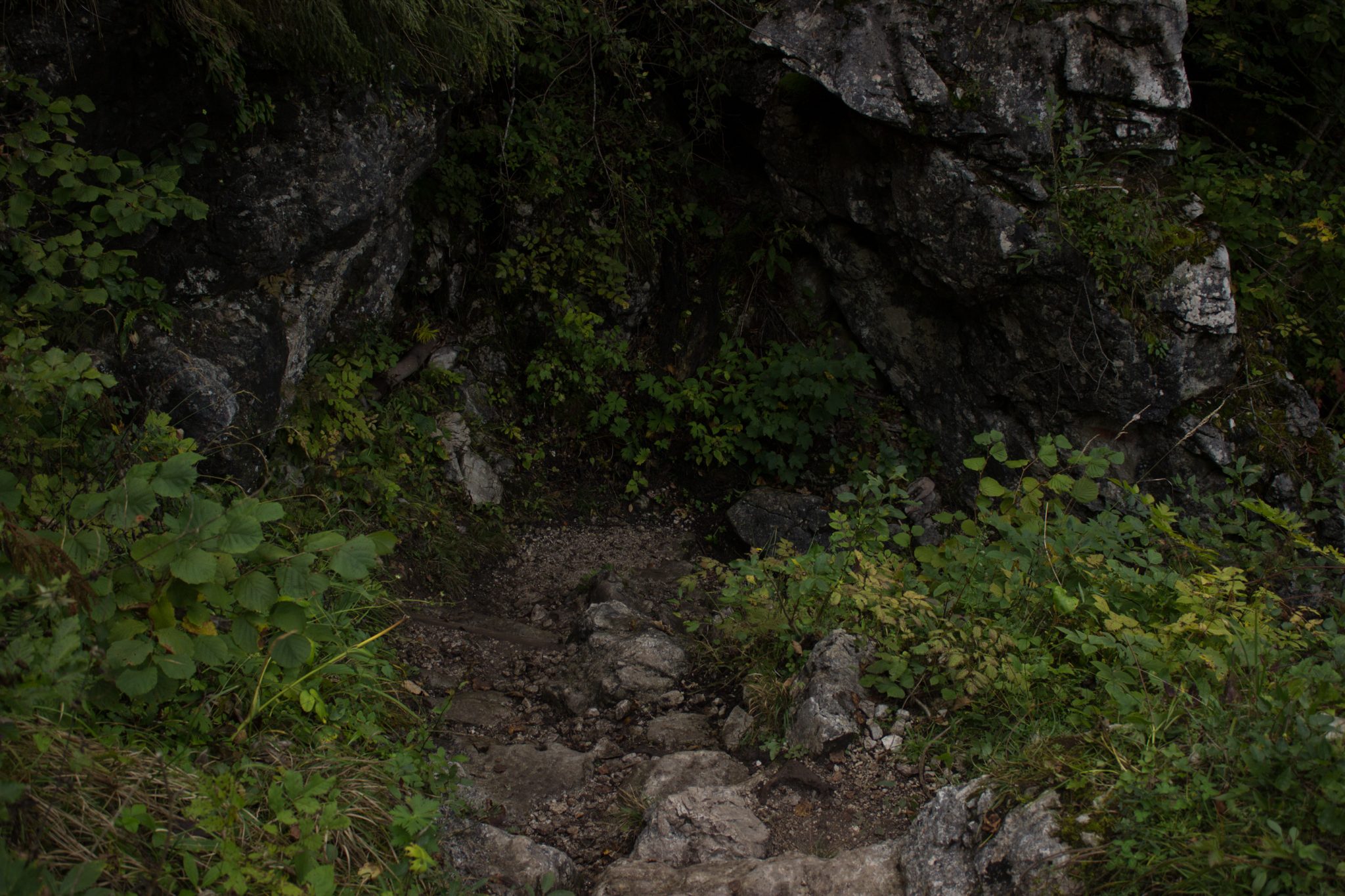 Wanderung zum Prielschutzhaus von Hinterstoder im Toten Gebirge in Oberösterreich, nach ebenem Wanderweg wird der Pfad ab Erreichen der vor einem liegenden Bergkette steil und bleibt dies bis zum Erreichen des Prielschutzhauses, erfordert einiges an Kondition, umgeben von dichtem, kühlendem Wald geht es über Stock und Stein, der Wald ist fast schon dschungelartig, macht Spaß in hohem Tempo hoch zu wandern