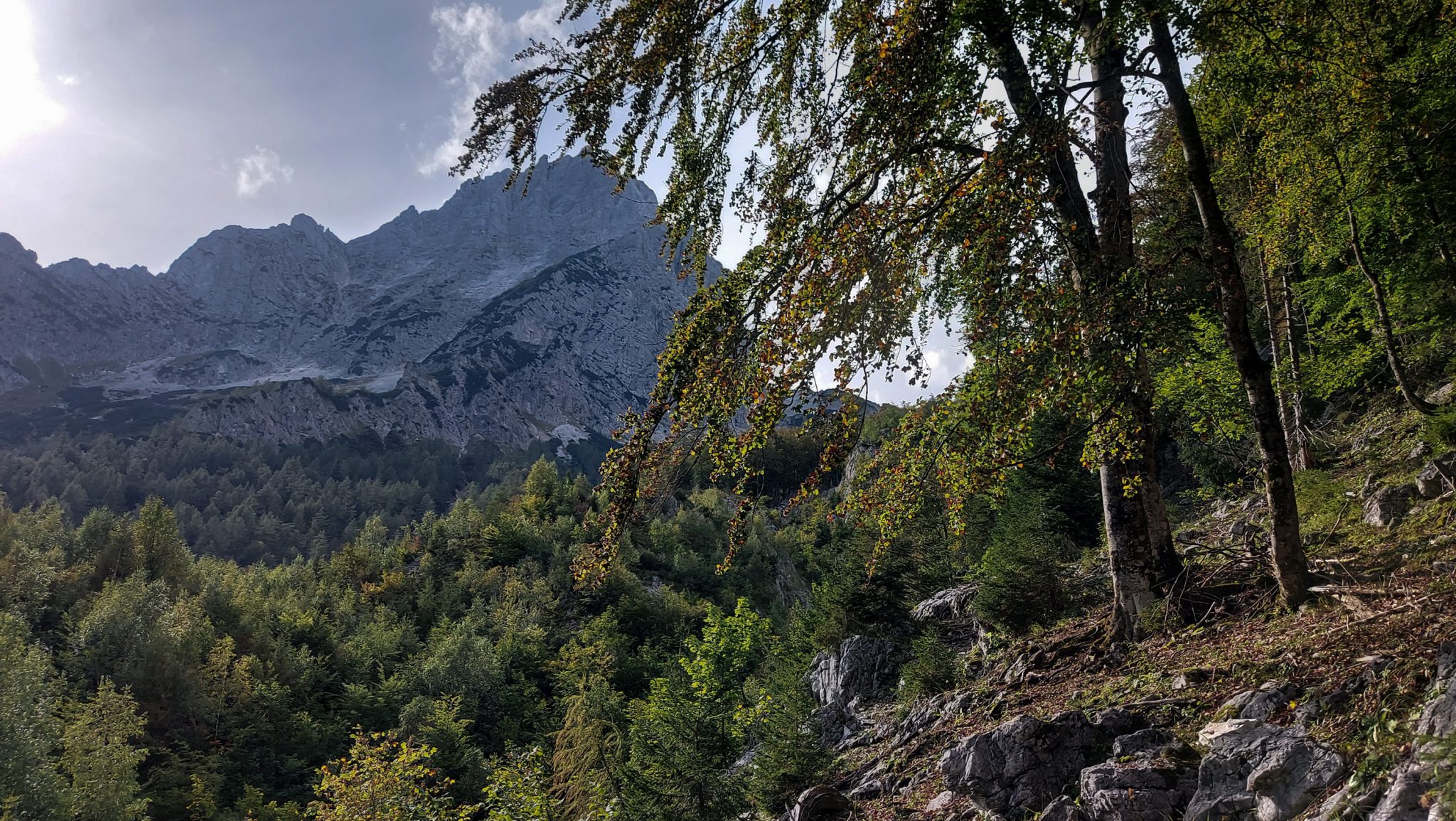 Wanderung zum Prielschutzhaus von Hinterstoder im Toten Gebirge in Oberösterreich, nach ebenem Wanderweg wird der Pfad ab Erreichen der vor einem liegenden Bergkette steil und bleibt dies bis zum Erreichen des Prielschutzhauses, erfordert einiges an Kondition, umgeben von dichtem, kühlendem Wald geht es über Stock und Stein, Aussicht auf die umliegendes Berge des Toten Gebirges ist grandios, macht Spaß in hohem Tempo hoch zu wandern