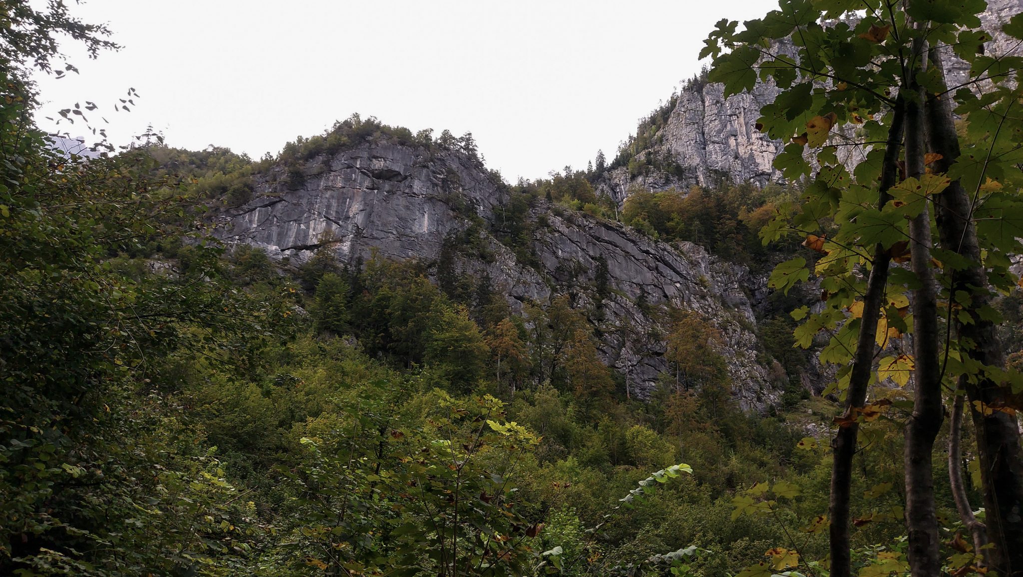 Wanderung zum Prielschutzhaus von Hinterstoder im Toten Gebirge in Oberösterreich, nach ebenem Wanderweg wird der Pfad ab Erreichen der vor einem liegenden Bergkette steil und bleibt dies bis zum Erreichen des Prielschutzhauses, erfordert einiges an Kondition, umgeben von dichtem, kühlendem Wald geht es über Stock und Stein, immer wieder Blick auf die schönen Berge des Toten Gebirges, macht Spaß in hohem Tempo hoch zu wandern