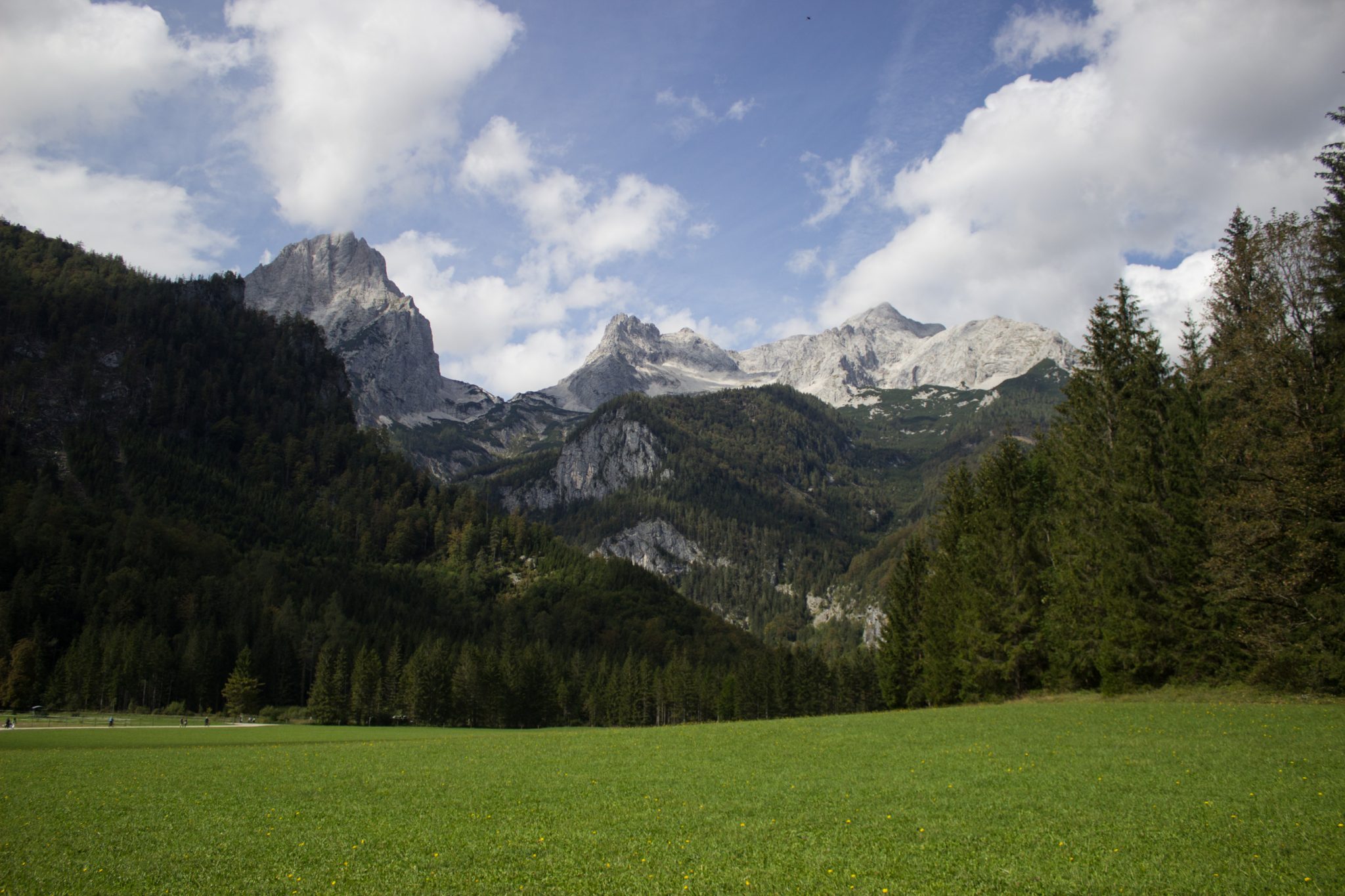 Wanderung zum Prielschutzhaus von Hinterstoder im Toten Gebirge in Oberösterreich, nach dem See Schiederweiher führt ein breiterer Wanderweg in Richtung der Berge mit herrlichen Aussichten auf den Hohen Priel und die anderen Berge des Toten Gebirges, von grünen Wiesen und Wald umgeben