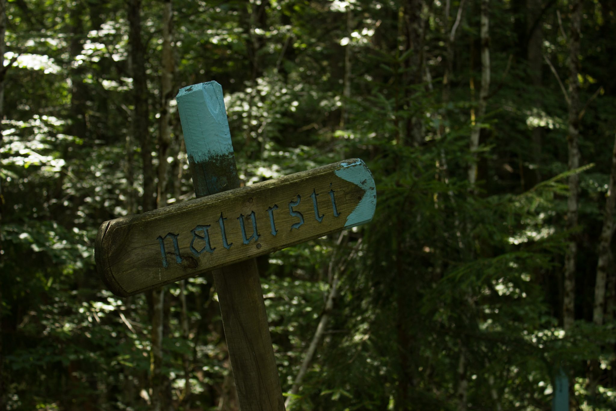 Abwechslungsreiche Waldwanderung in Südnorwegen - Start in der Nähe der Küstenstadt Larvik, Rundweg ab Parkplatz Rømminga nach Lauvesetra, hellblaue Markierung für Küstenweg, besonders schmale Waldpfade sind mit Bezeichnung Natursti beschildert in der hellblauen Markierung des Küstenweges