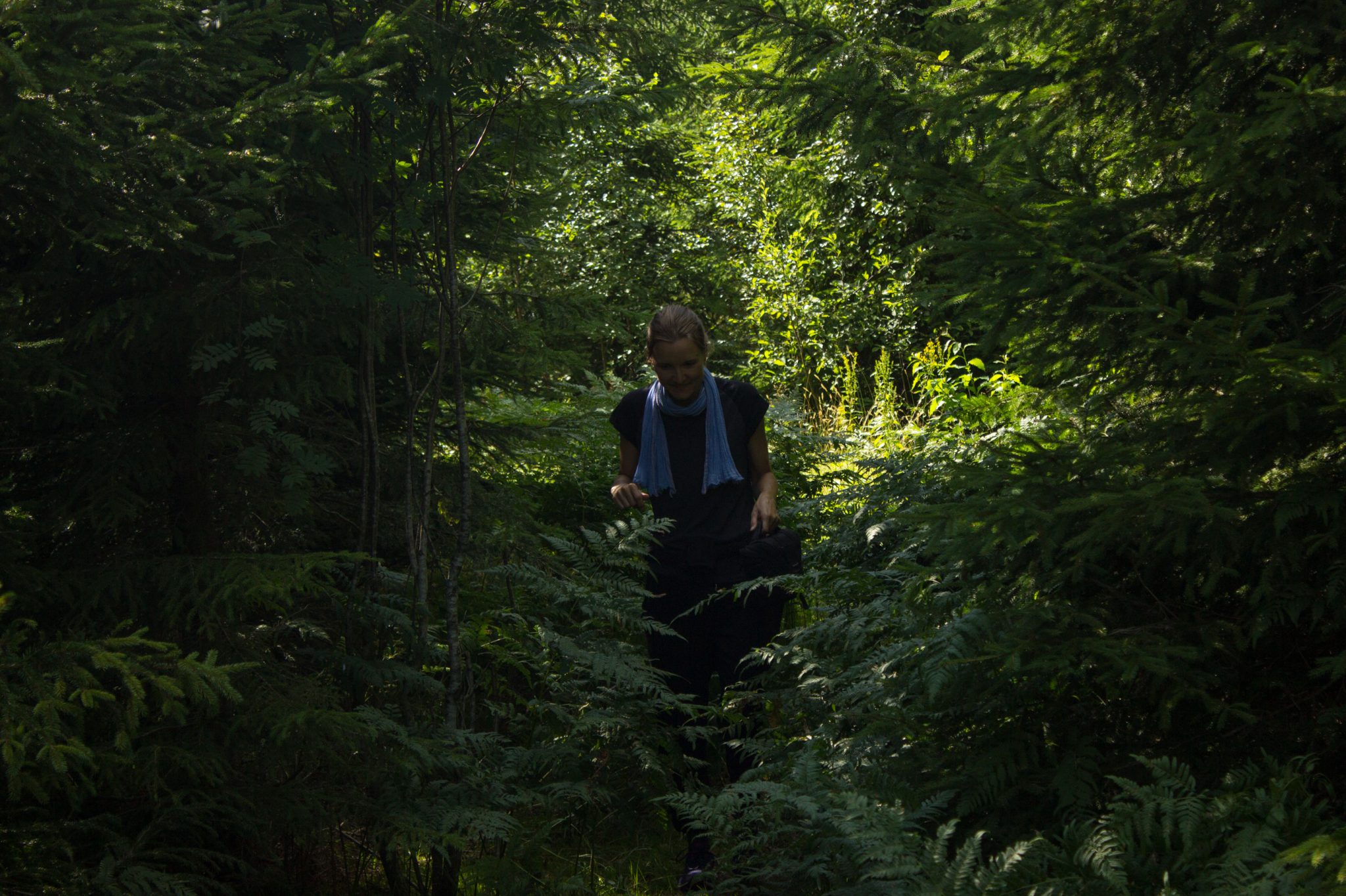 Abwechslungsreiche Waldwanderung in Südnorwegen - Start in der Nähe der Küstenstadt Larvik, Rundweg ab Parkplatz Rømminga nach Lauvesetra, Wanderer unterwegs auf sehr schmalem Pfad durch den Wald, viele hochgewachsene Farne und Moose am Wegesrand