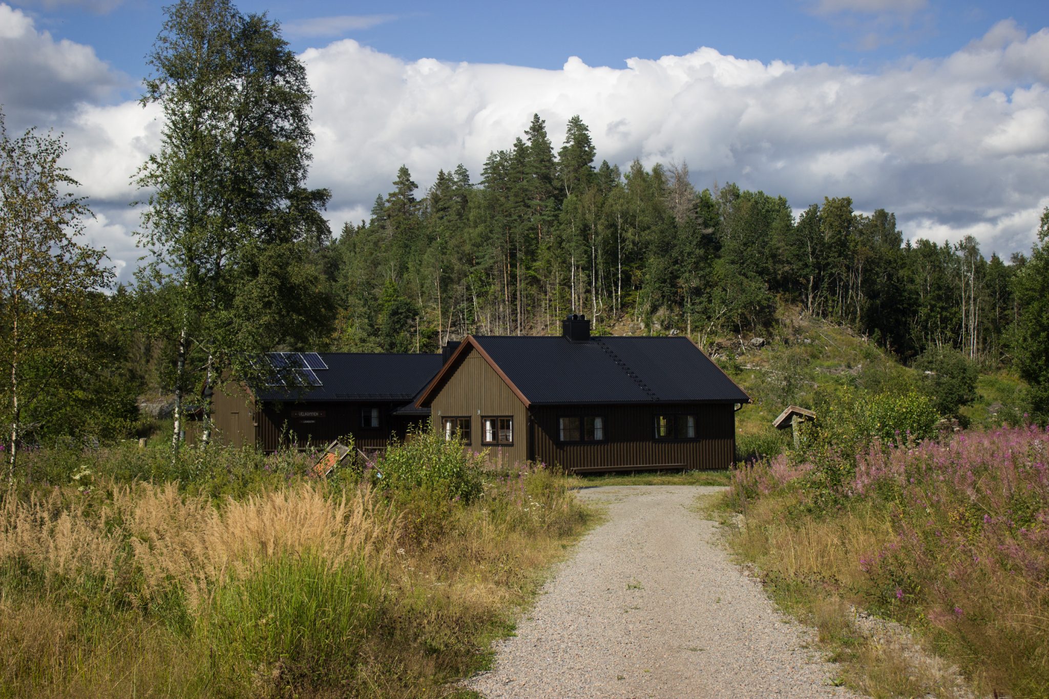 Abwechslungsreiche Waldwanderung in Südnorwegen - Start in der Nähe der Küstenstadt Larvik, Rundweg ab Parkplatz Rømminga nach Lauvesetra, beim Ziele Lauvesetra angekommen, Café mit Hütte heute im August geschlossen, viele Gräser säumen den Wegesrand