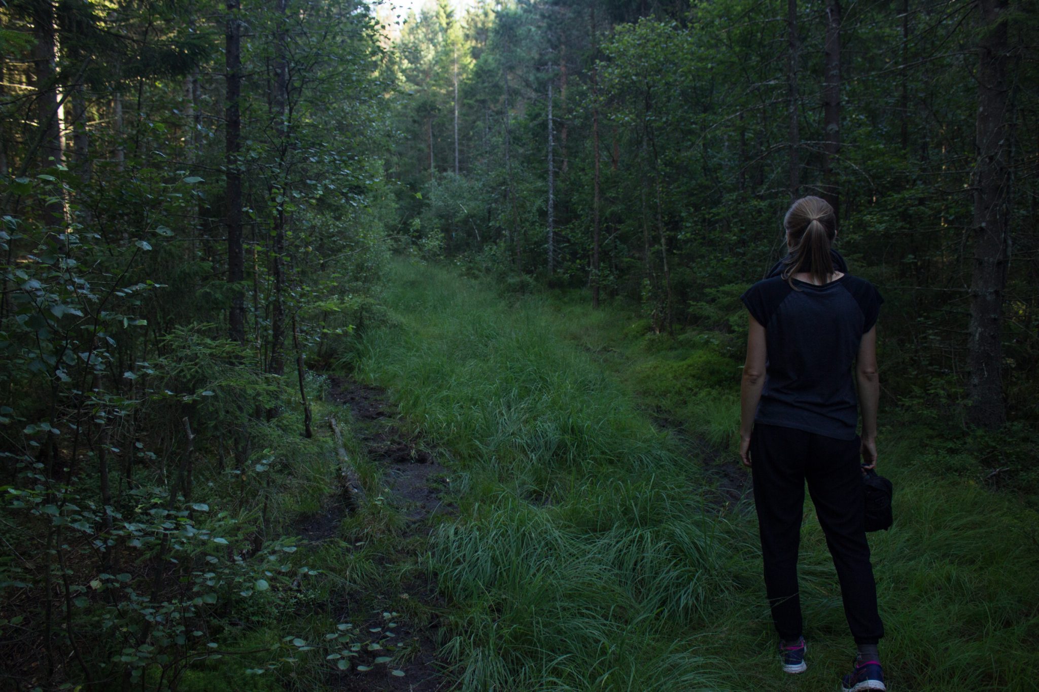 Abwechslungsreiche Waldwanderung in Südnorwegen - Start in der Nähe der Küstenstadt Larvik, Rundweg ab Parkplatz Rømminga nach Lauvesetra, Wanderer unterwegs auf schmalem Pfad durch den Wald, sattgrüne Vegetation