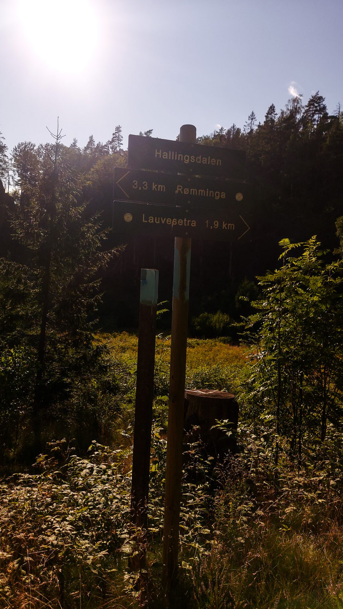 Abwechslungsreiche Waldwanderung in Südnorwegen - Start in der Nähe der Küstenstadt Larvik, Rundweg ab Parkplatz Rømminga nach Lauvesetra, Schilder mit Angabe von Längen zu Wanderzielen