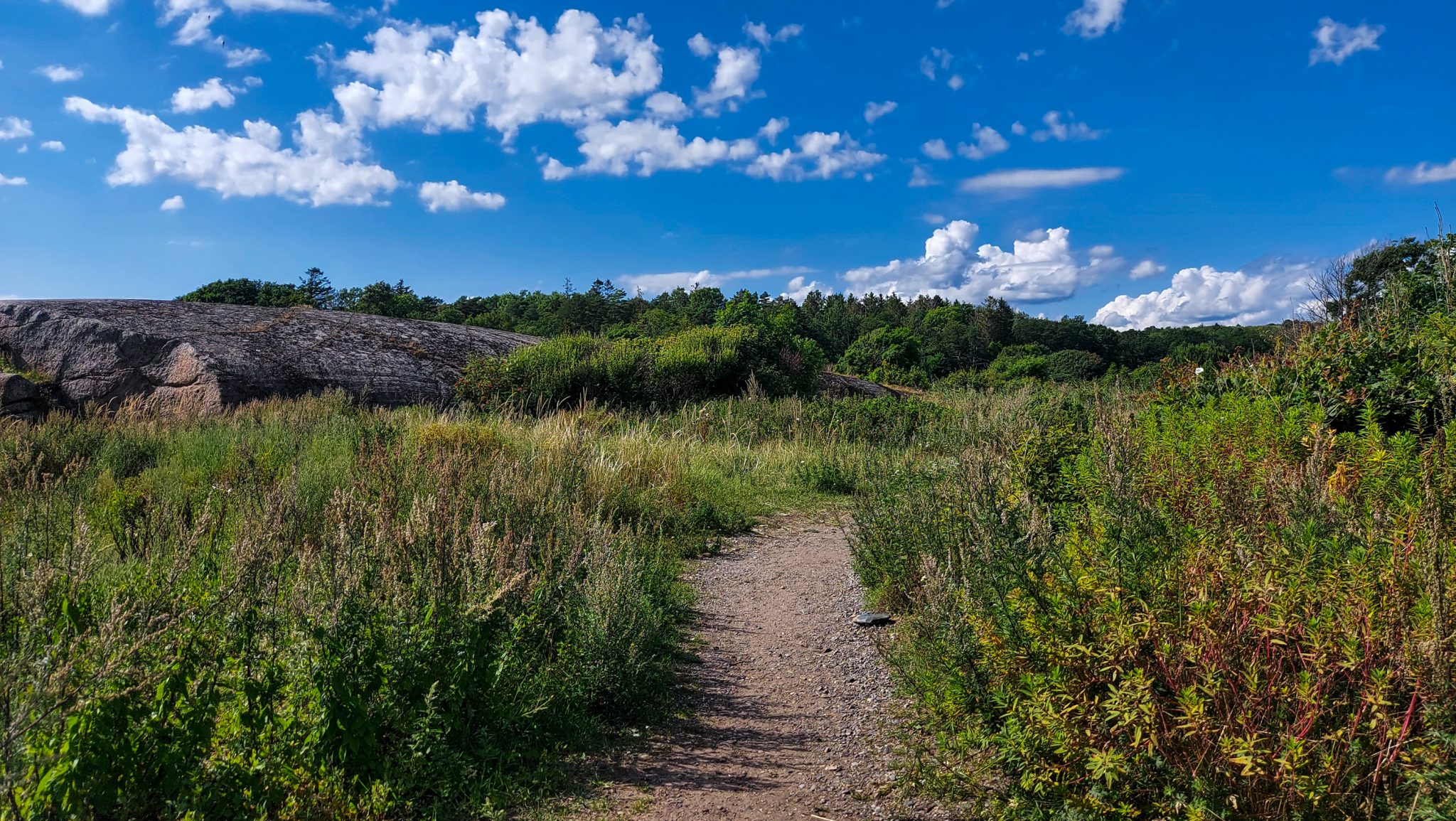 Küstenwanderung von Stavern nach Nevlunghavn, auf dem Kyststien entlang der Schärenküste von Vestfold in Südnorwegen, Wanderer unterwegs auf dem Küstenpfad, Wanderweg umgeben von grüner Vegetation, Blick auf große Felsen und Wald