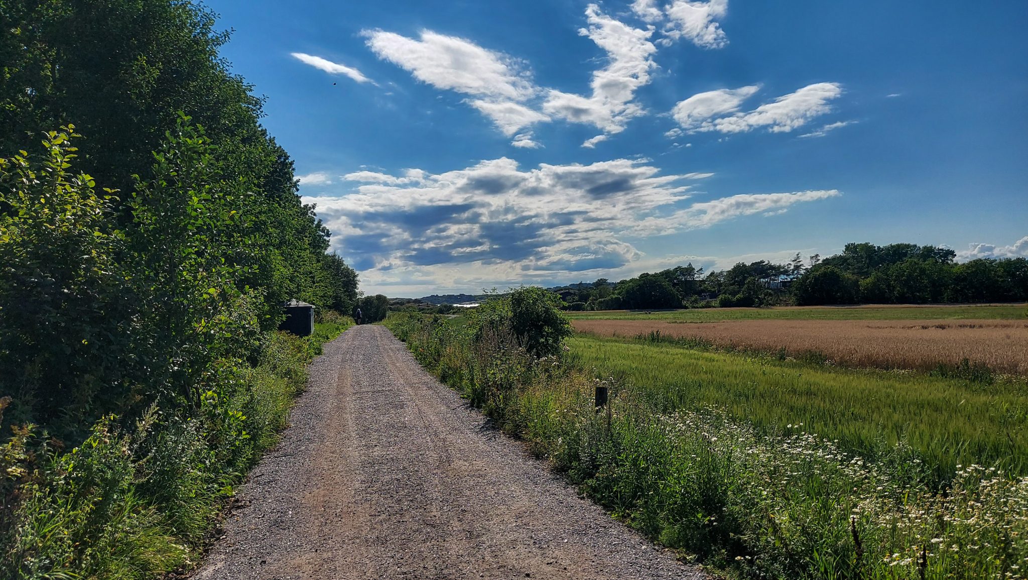 Küstenwanderung von Stavern nach Nevlunghavn, auf dem Kyststien entlang der Schärenküste von Vestfold in Südnorwegen, Wanderer unterwegs auf dem Küstenpfad, Wanderweg auf breitem Weg etwas abseits der Küste, Blick auf Felder und Wald