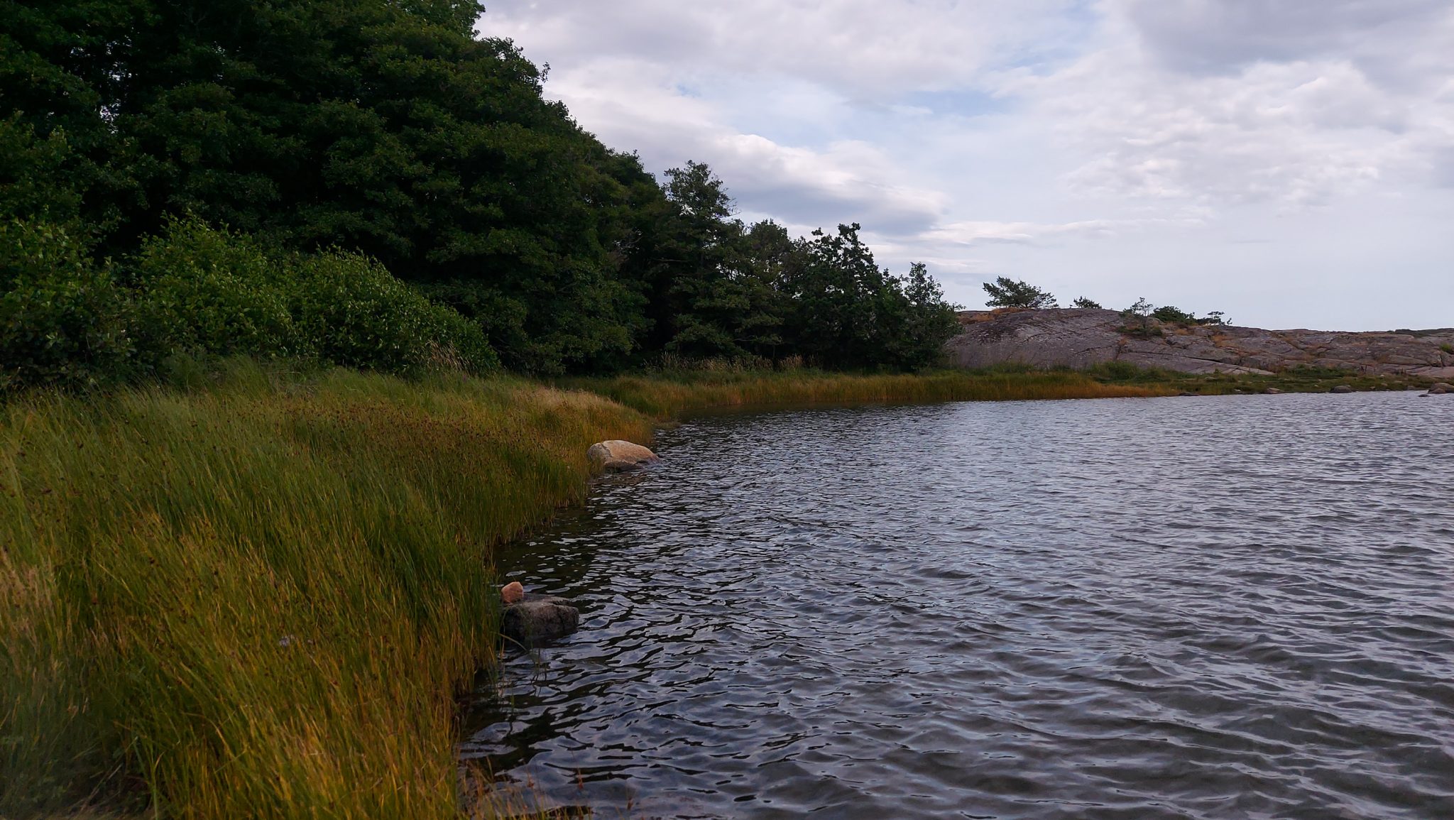 Küstenwanderung von Stavern nach Nevlunghavn, auf dem Kyststien entlang der Schärenküste von Vestfold in Südnorwegen, Wanderung entlang des Küstenpfads, Küstenvegetation entlang des Wanderweges, kleine Bucht mit dichtem Schild am Ufer und Wald