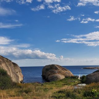 Küstenwanderung von Stavern nach Nevlunghavn, auf dem Kyststien entlang der Schärenküste von Vestfold in Südnorwegen, Wanderung entlang des Küstenpfads, Küstenvegetation entlang des Wanderweges, Meer und Felsen im Hintergrund