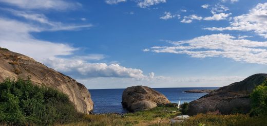 Küstenwanderung von Stavern nach Nevlunghavn, auf dem Kyststien entlang der Schärenküste von Vestfold in Südnorwegen, Wanderung entlang des Küstenpfads, Küstenvegetation entlang des Wanderweges, Meer und Felsen im Hintergrund