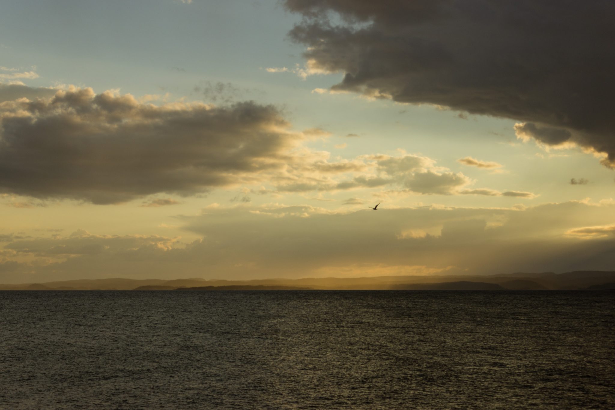 Küstenwanderung von Stavern nach Nevlunghavn, auf dem Kyststien entlang der Schärenküste von Vestfold in Südnorwegen, weite Aussicht auf das Meer bei Sonnenuntergang, immer wieder Schauer, Aprilwetter, tolle Lichtatmosphäre, Möwe fliegt über das Meer