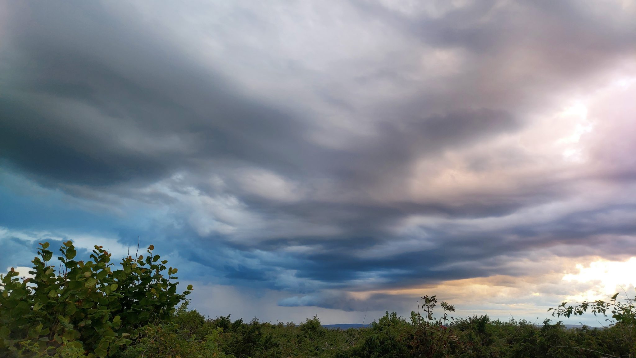 Küstenwanderung von Stavern nach Nevlunghavn, auf dem Kyststien entlang der Schärenküste von Vestfold in Südnorwegen, weite Aussicht auf Wolken, dichte grüne Vegetation