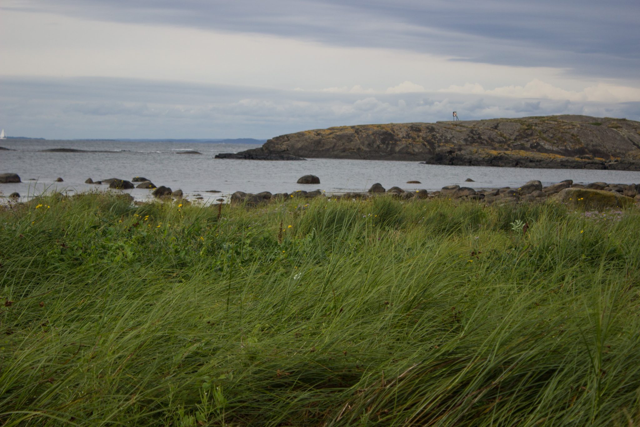 Küstenwanderung von Stavern nach Nevlunghavn, auf dem Kyststien entlang der Schärenküste von Vestfold in Südnorwegen, Wanderung entlang des Küstenpfads, dichte, grüne Küstenvegetation entlang des Wanderweges, Meer und Felsen im Hintergrund