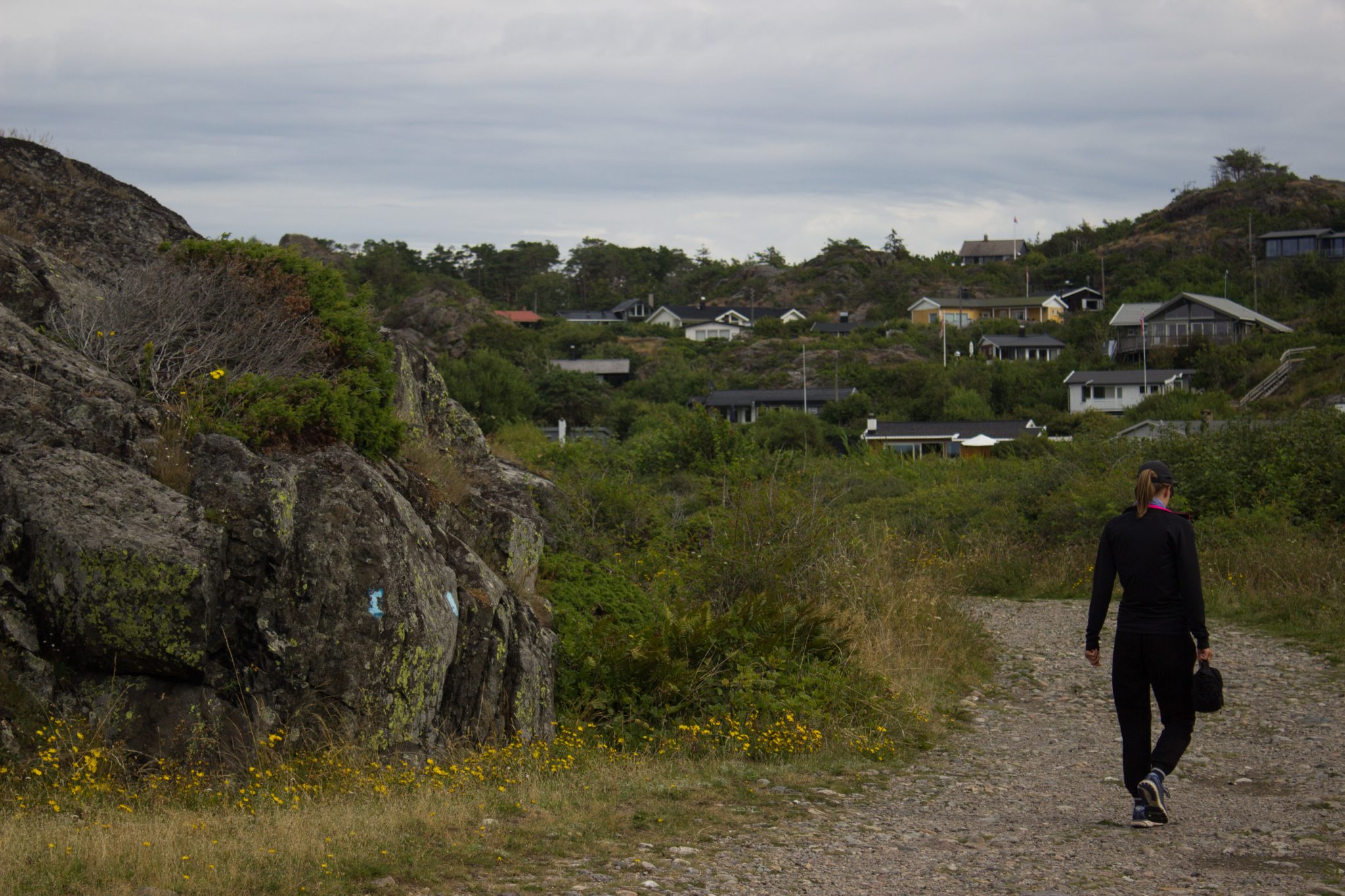 Küstenwanderung von Stavern nach Nevlunghavn, auf dem Kyststien entlang der Schärenküste von Vestfold in Südnorwegen, Wanderer unterwegs auf dem Küstenpfad, Wanderweg auf breitem Weg etwas abseits der Küste, Blick auf Felsen, Gräser und kleines Wohngebiet