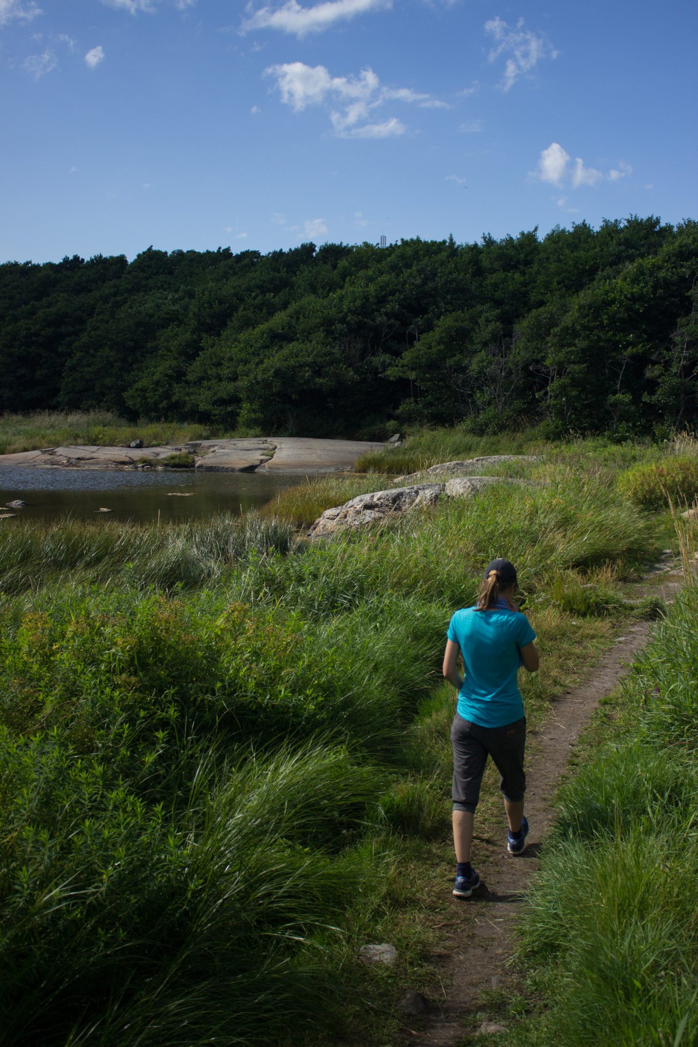 Küstenwanderung von Stavern nach Nevlunghavn, auf dem Kyststien entlang der Schärenküste von Vestfold in Südnorwegen, Wanderer unterwegs auf dem Küstenpfad, schmaler Wanderweg mit grüner Vegetation, Blick auf Bucht und Wald
