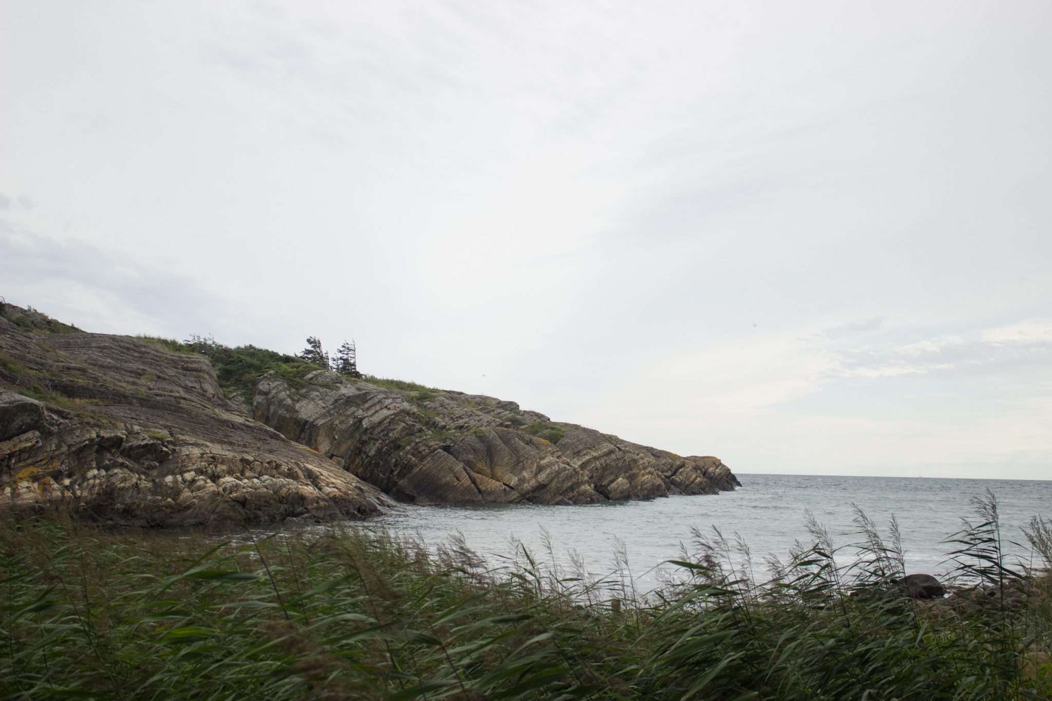 Küstenwanderung von Stavern nach Nevlunghavn, auf dem Kyststien entlang der Schärenküste von Vestfold in Südnorwegen, Wanderung entlang des Küstenpfads, dichte, grüne Küstenvegetation entlang des Wanderweges, Meer und Felsen im Hintergrund