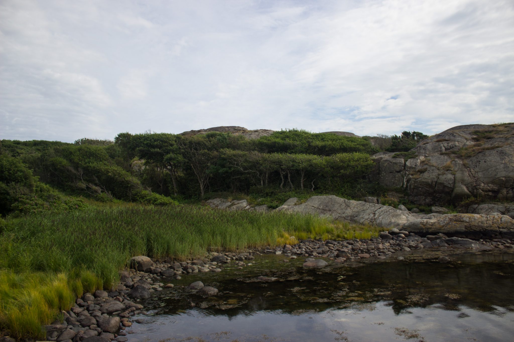 Küstenwanderung von Stavern nach Nevlunghavn, auf dem Kyststien entlang der Schärenküste von Vestfold in Südnorwegen, Wanderung entlang des Küstenpfads, Küstenvegetation entlang des Wanderweges und Aussicht auf Küstenwald, kleine Bucht im Vordergrund