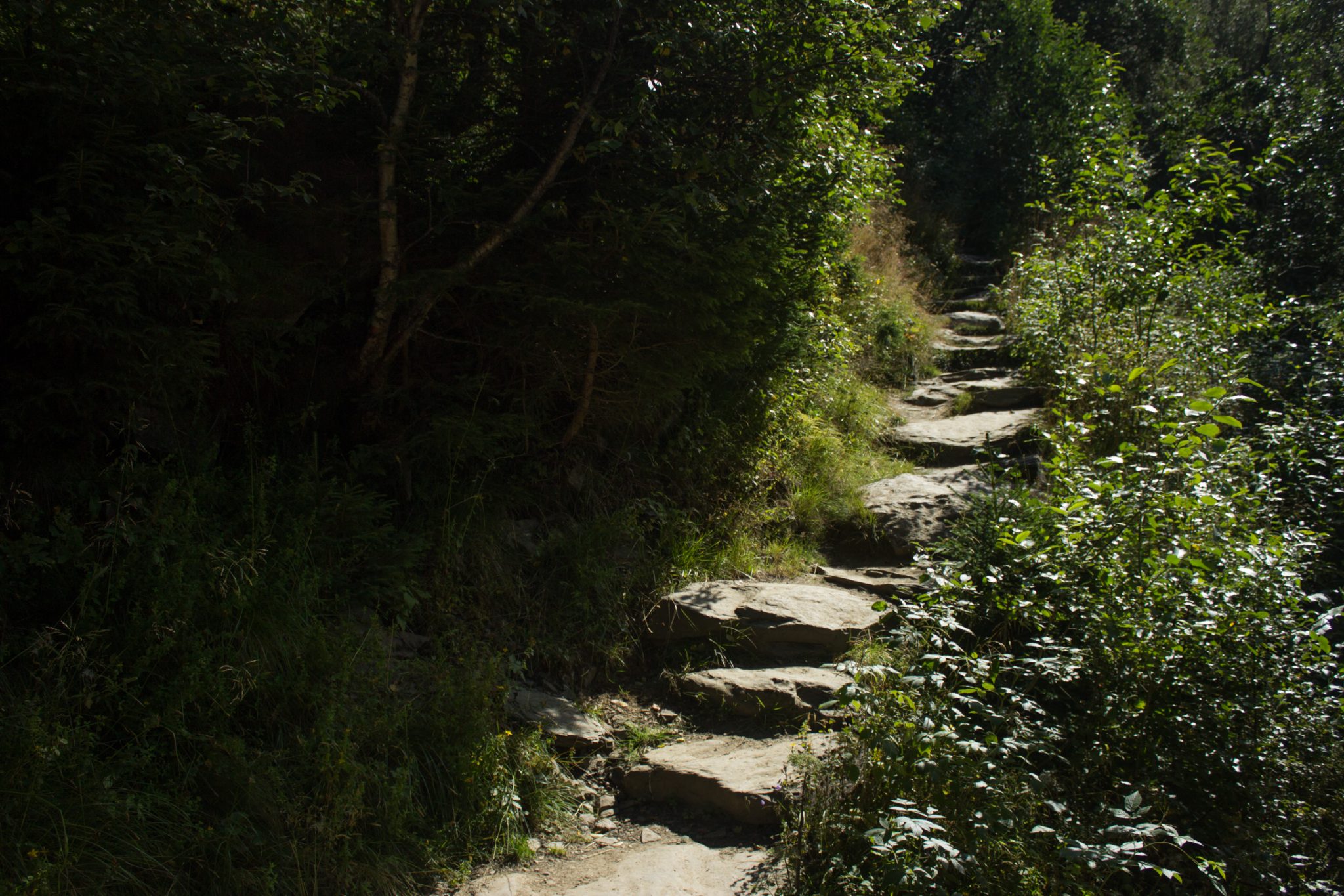 Wandern auf dem Dronningstien über die Monk Steps und den Aussichtspunkt Nosi, Start der Wanderung ist in Lofthus, Ausblick auf den Hardangerfjord während der Wanderung auf der Hardangervidda, Wanderweg durch schönen Wald mit Moos und Farnen, Blick auf die Munketreppene
