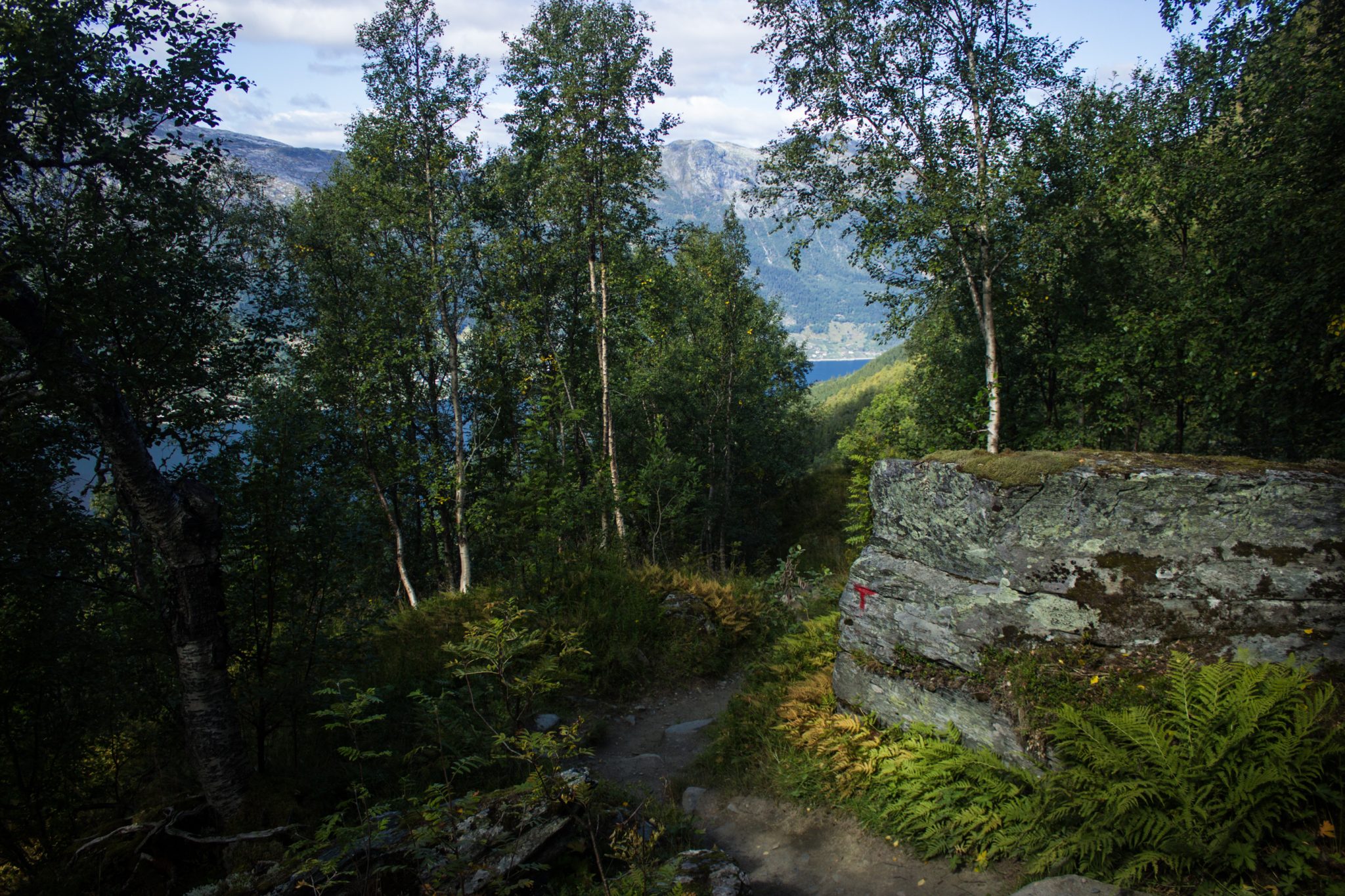 Wandern auf dem Dronningstien über die Monk Steps und den Aussichtspunkt Nosi, Start der Wanderung ist in Lofthus, Ausblick auf den Hardangerfjord während der Wanderung auf der Hardangervidda, Wanderweg durch schönen Wald mit Moos und Farnen, Markierung des Weges mit rotem T