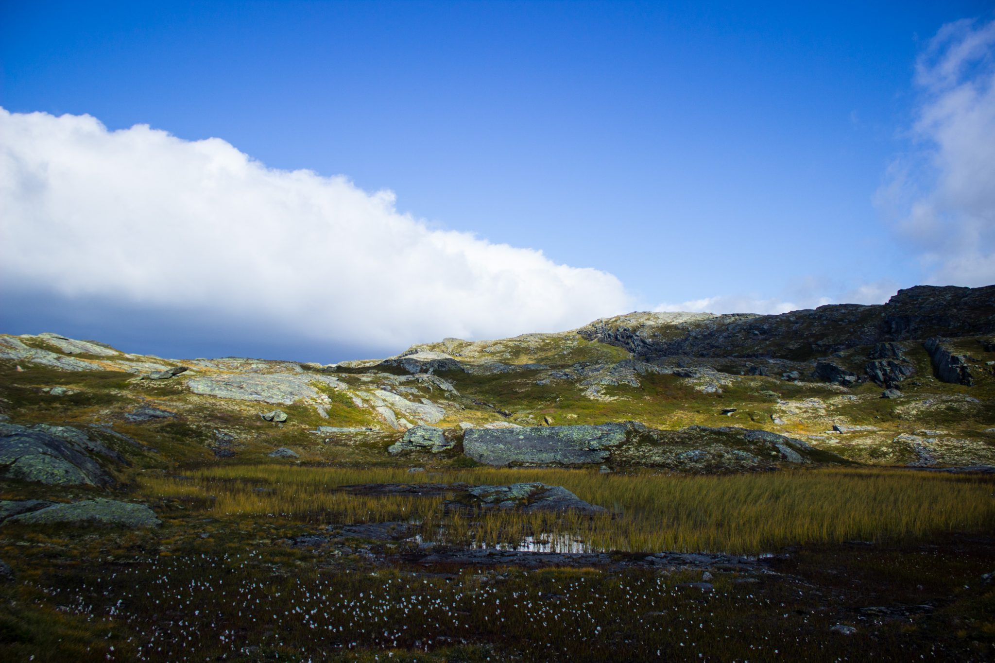 Wandern auf dem Dronningstien über die Monk Steps und den Aussichtspunkt Nosi, Start der Wanderung ist in Lofthus, Ausblick auf den Hardangerfjord während der Wanderung auf der Hardangervidda, Aussicht auf das Plateaufjell der Hardangervidda mit Wollgras