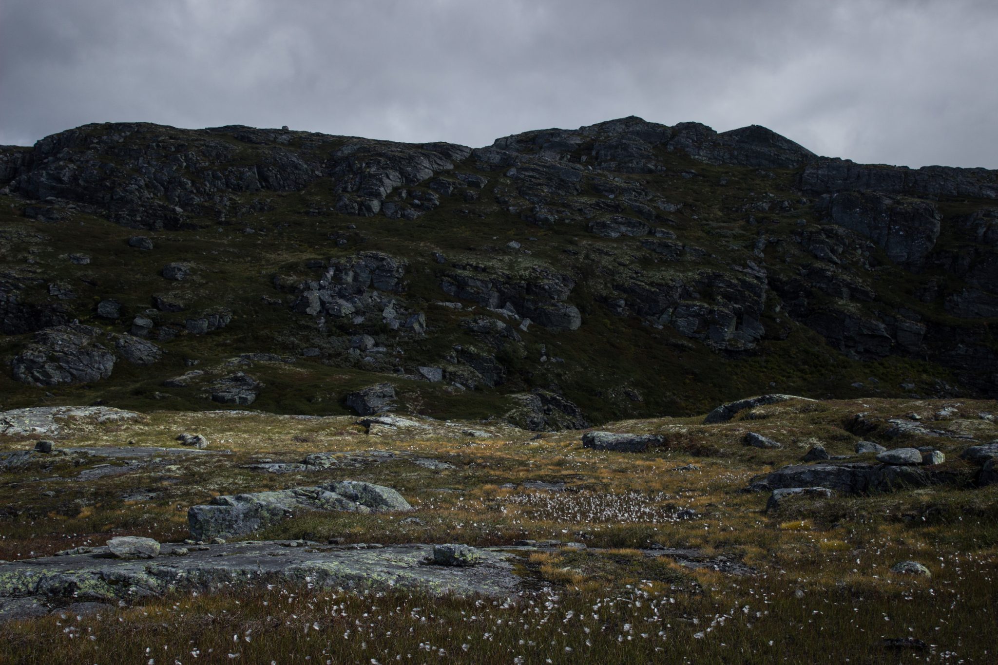Wandern auf dem Dronningstien über die Monk Steps und den Aussichtspunkt Nosi, Start der Wanderung ist in Lofthus, Ausblick auf den Hardangerfjord während der Wanderung auf der Hardangervidda, Aussicht auf das Plateaufjell der Hardangervidda mit Wollgras