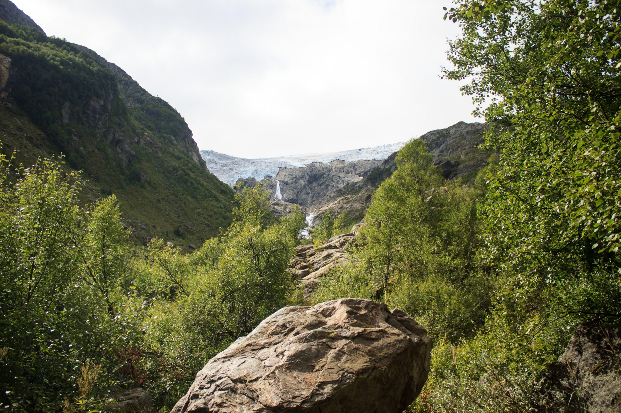 Wandern zum Buarbreen im Folgefonna Nationalpark, Wanderung in der Nähe von Odda mit Aussicht auf den Gletscher Buarbreen und Wasserfälle, Blick auf den Gletscher und die umliegenden Berge mit Wald