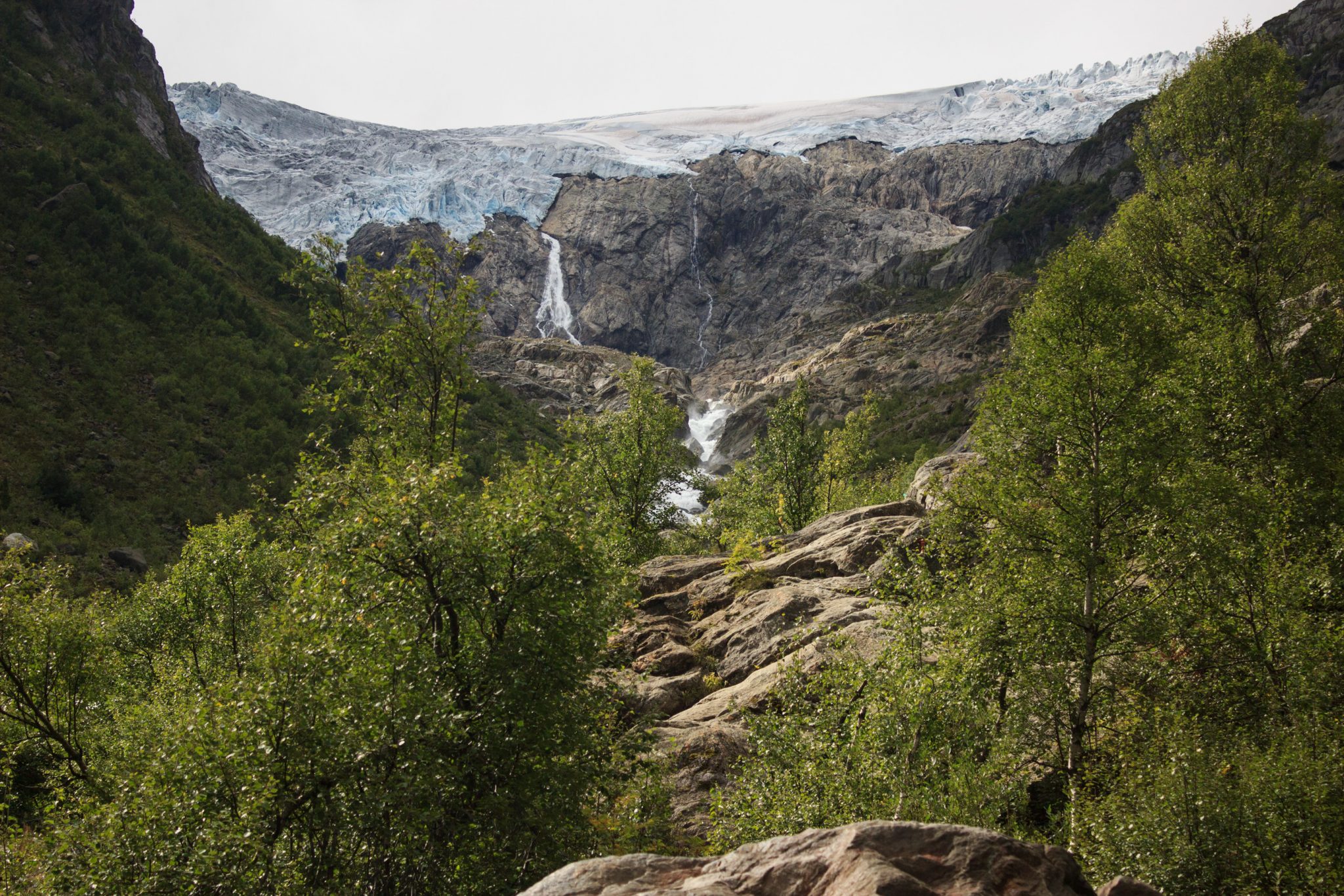 Wandern zum Buarbreen im Folgefonna Nationalpark, Wanderung in der Nähe von Odda mit Aussicht auf den Gletscher Buarbreen und Wasserfälle, Blick auf den Gletscher und die umliegenden Berge mit Wald
