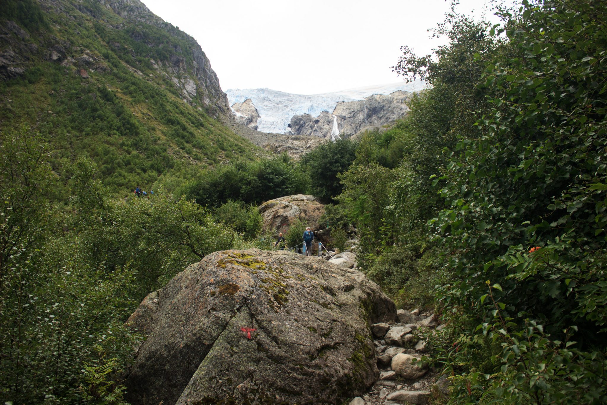 Wandern zum Buarbreen im Folgefonna Nationalpark, Wanderung in der Nähe von Odda mit Aussicht auf den Gletscher Buarbreen und Wasserfälle, Blick auf den Gletscher und die umliegenden Berge mit Wald