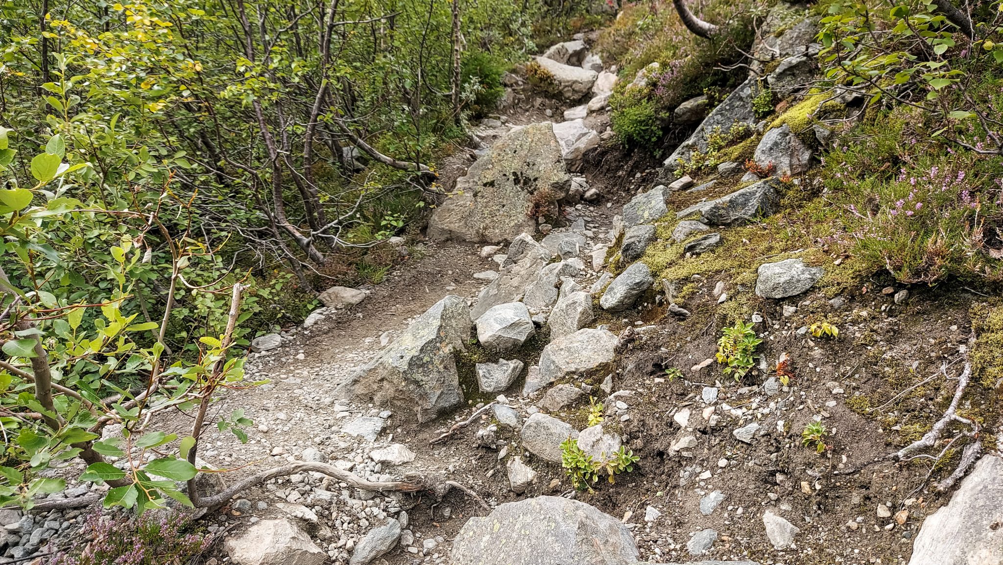 Wandern zum Buarbreen im Folgefonna Nationalpark, Wanderung in der Nähe von Odda mit Aussicht auf den Gletscher Buarbreen und Wasserfälle, Wanderer unterwegs auf teils steilem Wanderweg