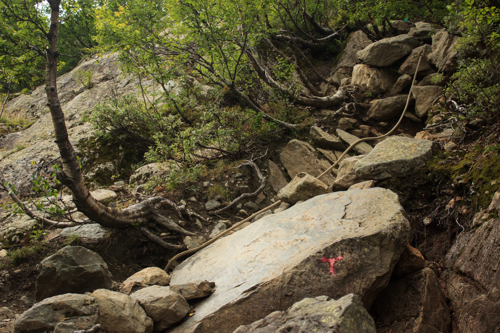 Wandern zum Buarbreen im Folgefonna Nationalpark, Wanderung in der Nähe von Odda mit Aussicht auf den Gletscher Buarbreen und Wasserfälle, Wanderer unterwegs auf steilem Wanderweg mit großen Felsen, teilweise gesichert mit Seilen