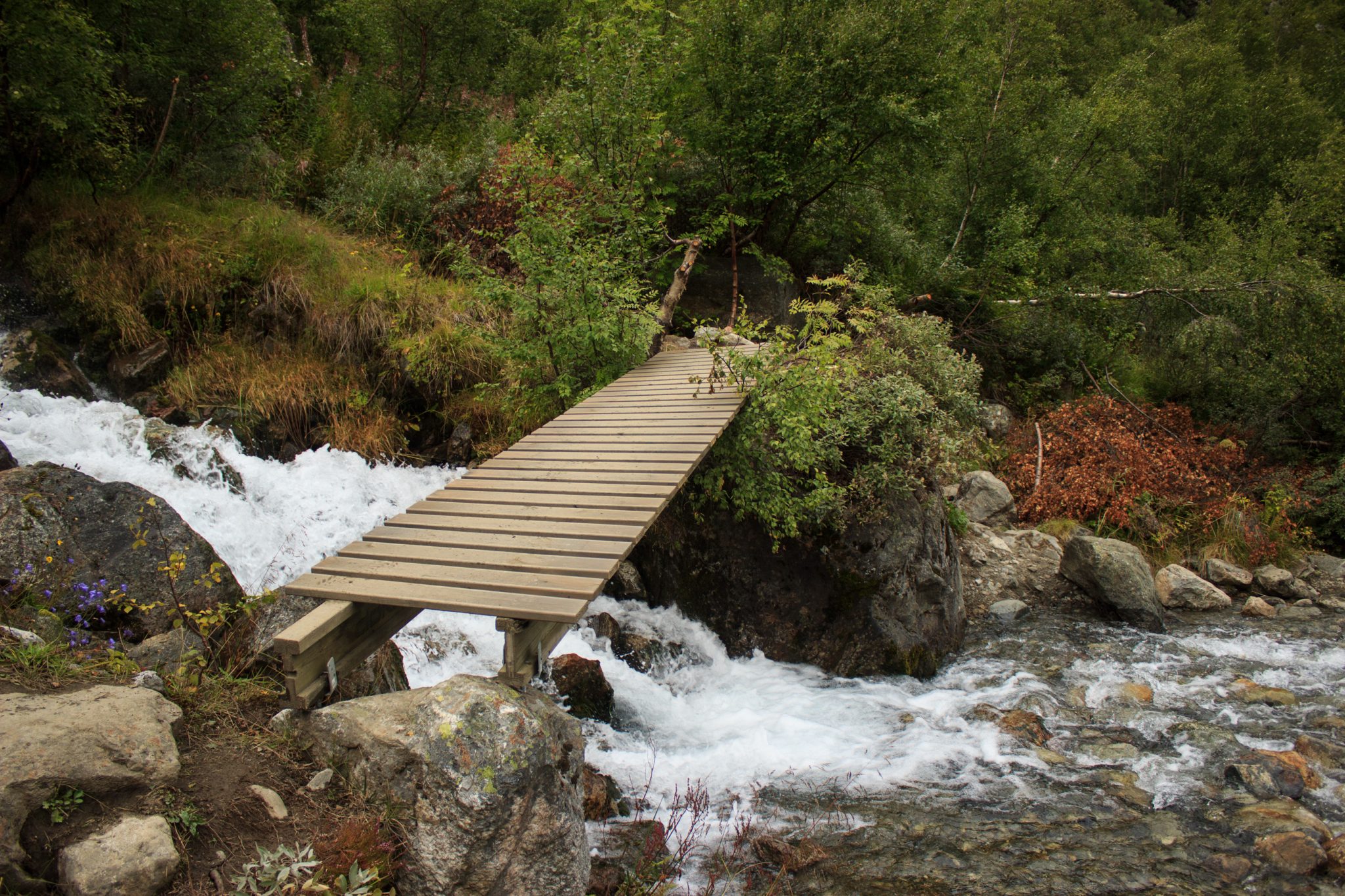 Wandern zum Buarbreen im Folgefonna Nationalpark, Wanderung in der Nähe von Odda mit Aussicht auf den Gletscher Buarbreen und Wasserfälle, Holzbrücke, die während der Wanderung über den Fluss führt