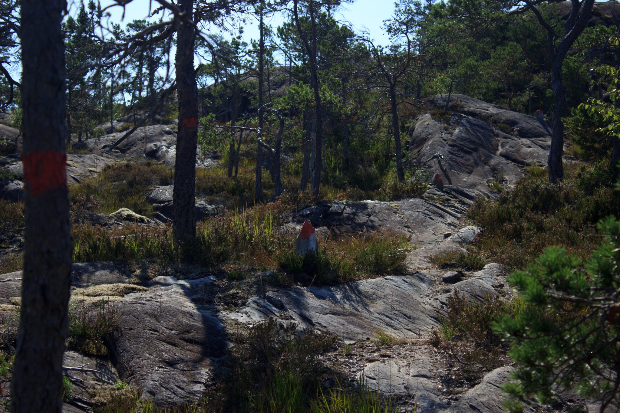 Wanderung beim Hardangerfjord auf den Haugsvarden, Start beim Rastplatz Hereiane zwischen Jondal und Herand an der Straße 550, sehr steiler Anstieg über große, glatte Felsen, fast die ganze Zeit schöne Aussicht auf den Fjord, bei Regen nicht empfehlenswert
