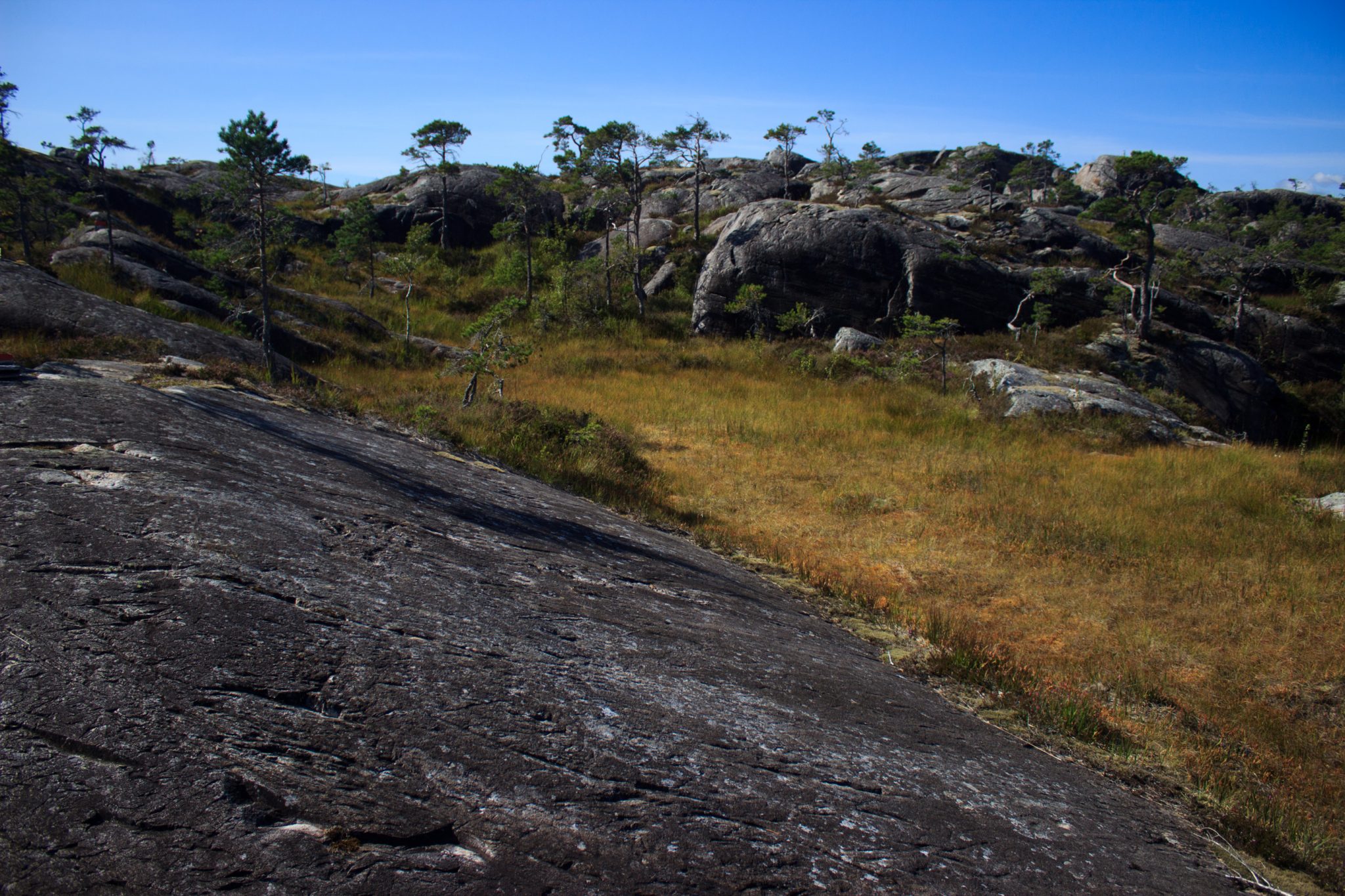 Wanderung beim Hardangerfjord auf den Haugsvarden, Start beim Rastplatz Hereiane zwischen Jondal und Herand an der Straße 550, sehr steiler Anstieg über große, glatte Felsen, fast die ganze Zeit schöne Aussicht auf den Fjord, bei Regen nicht empfehlenswert