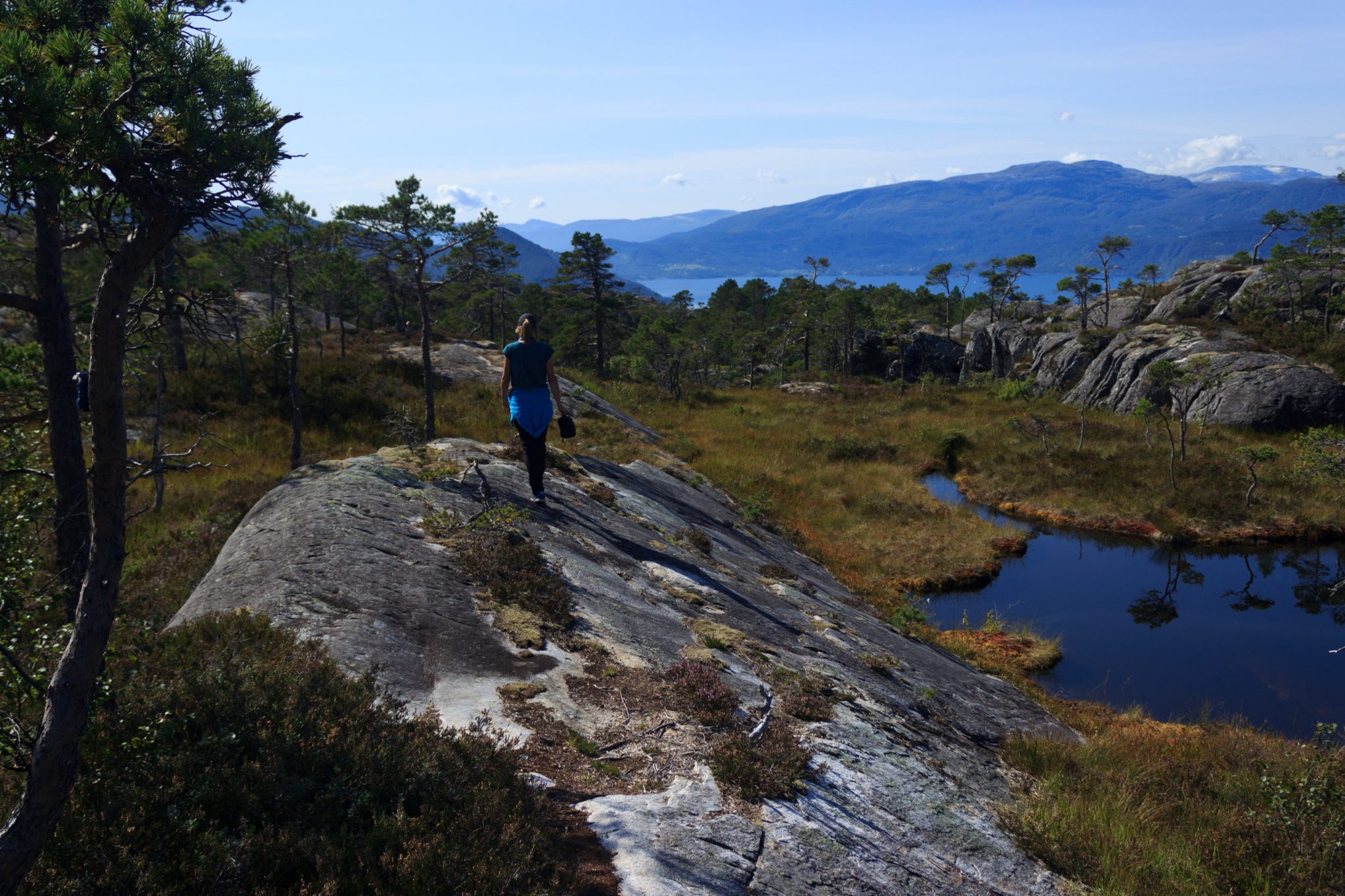 Wanderung beim Hardangerfjord auf den Haugsvarden, Start beim Rastplatz Hereiane zwischen Jondal und Herand an der Straße 550, sehr steiler Anstieg über große, glatte Felsen, fast die ganze Zeit schöne Aussicht auf den Fjord, bei Regen nicht empfehlenswert