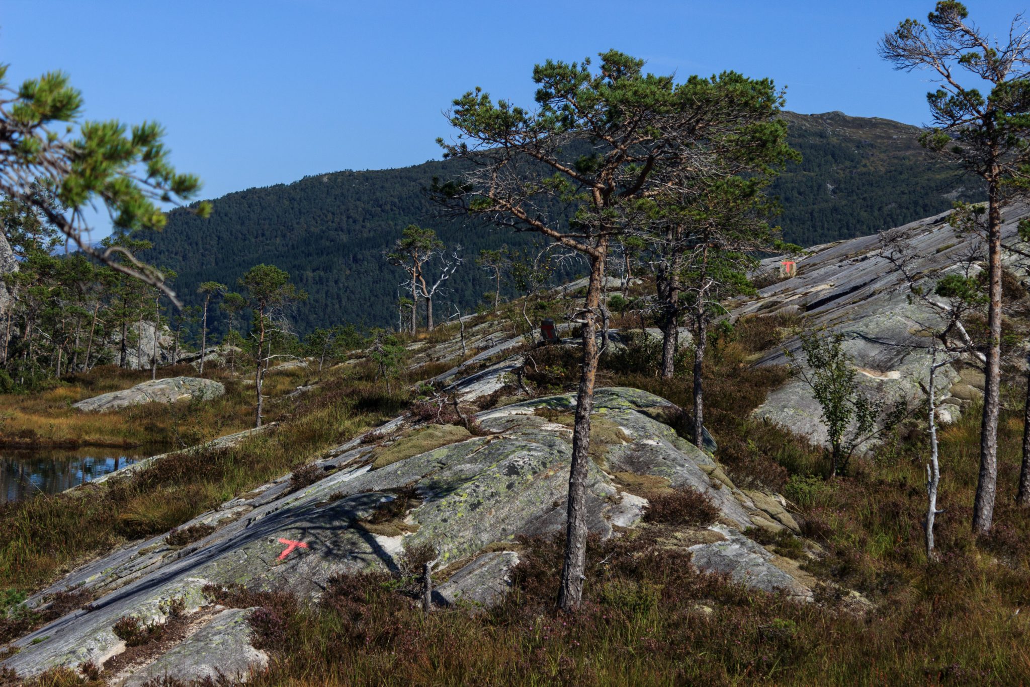 Wanderung beim Hardangerfjord auf den Haugsvarden, Start beim Rastplatz Hereiane zwischen Jondal und Herand an der Straße 550, sehr steiler Anstieg über große, glatte Felsen, fast die ganze Zeit schöne Aussicht auf den Fjord, bei Regen nicht empfehlenswert