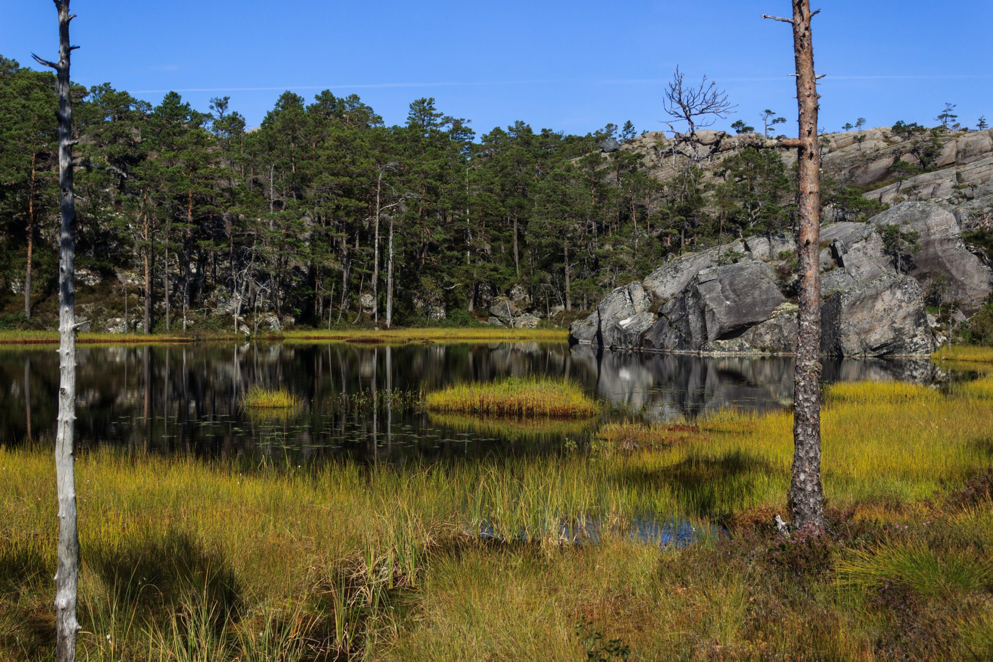 Wanderung beim Hardangerfjord auf den Haugsvarden, Start beim Rastplatz Hereiane zwischen Jondal und Herand an der Straße 550, sehr steiler Anstieg über große, glatte Felsen, fast die ganze Zeit schöne Aussicht auf den Fjord, bei Regen nicht empfehlenswert