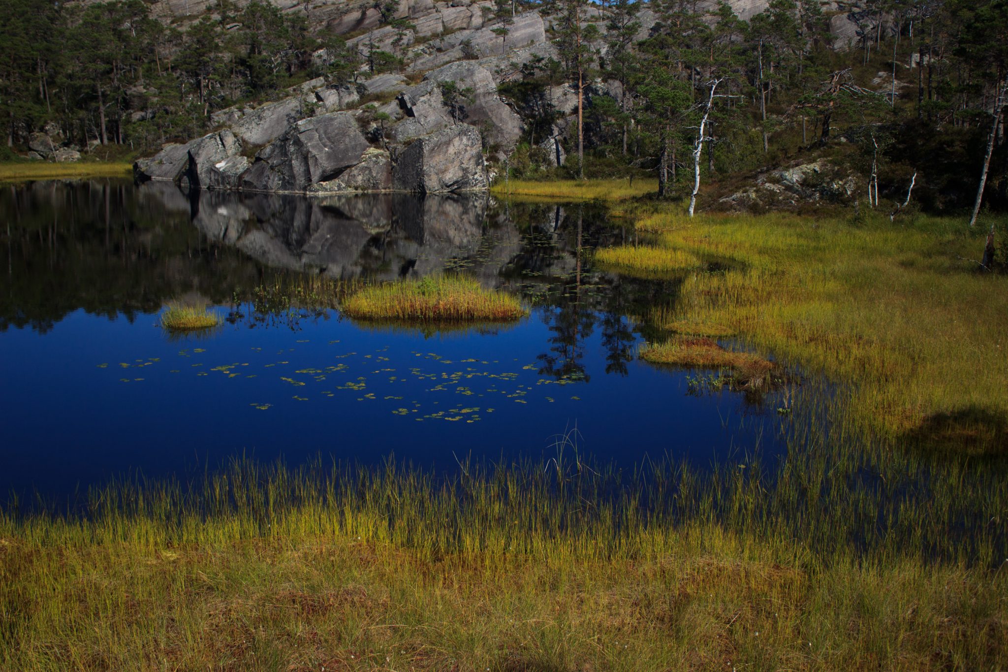Wanderung beim Hardangerfjord auf den Haugsvarden, Start beim Rastplatz Hereiane zwischen Jondal und Herand an der Straße 550, sehr steiler Anstieg über große, glatte Felsen, fast die ganze Zeit schöne Aussicht auf den Fjord, bei Regen nicht empfehlenswert