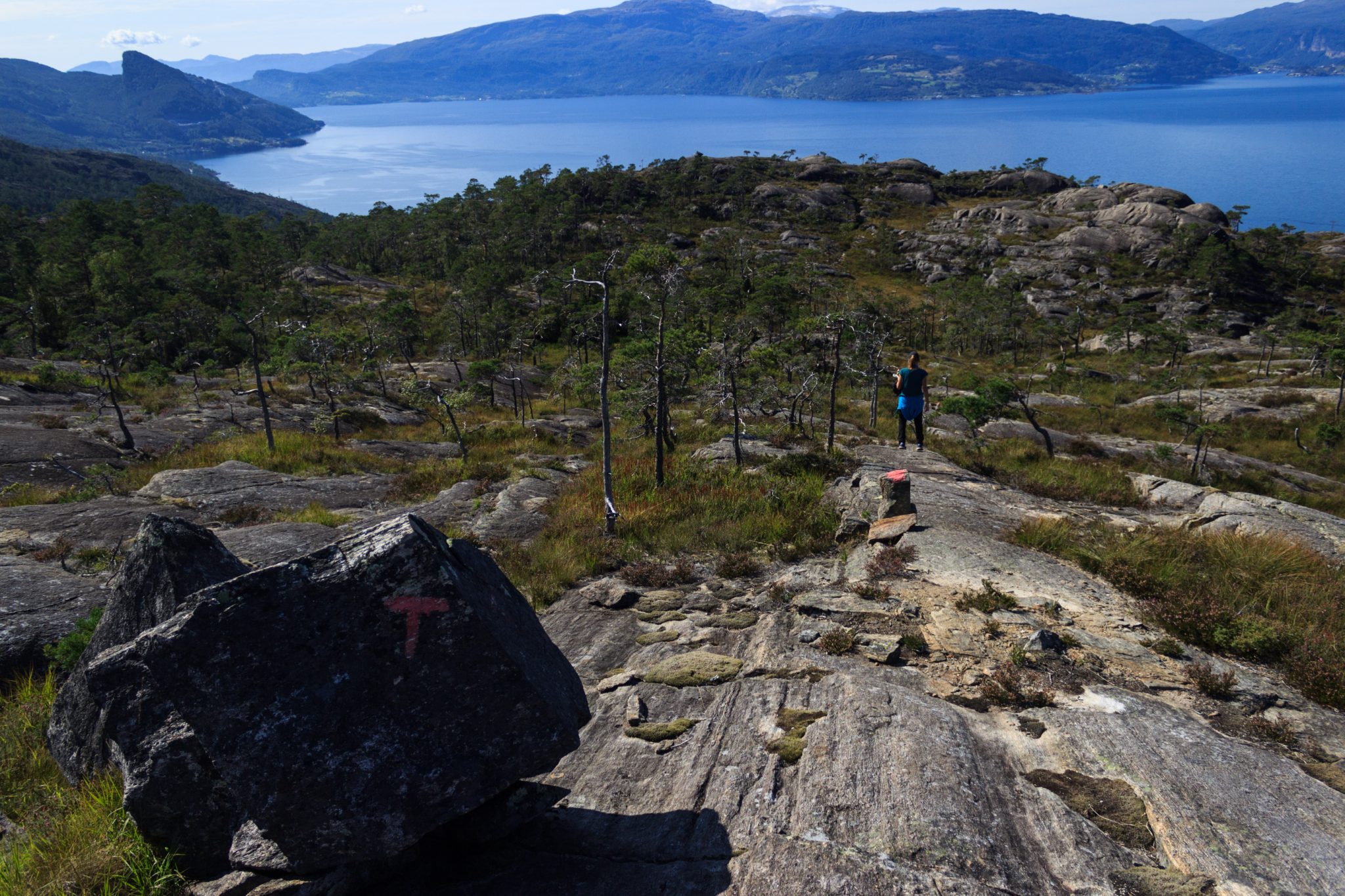 Wanderung beim Hardangerfjord auf den Haugsvarden, Start beim Rastplatz Hereiane zwischen Jondal und Herand an der Straße 550, sehr steiler Anstieg über große, glatte Felsen, fast die ganze Zeit schöne Aussicht auf den Fjord, bei Regen nicht empfehlenswert