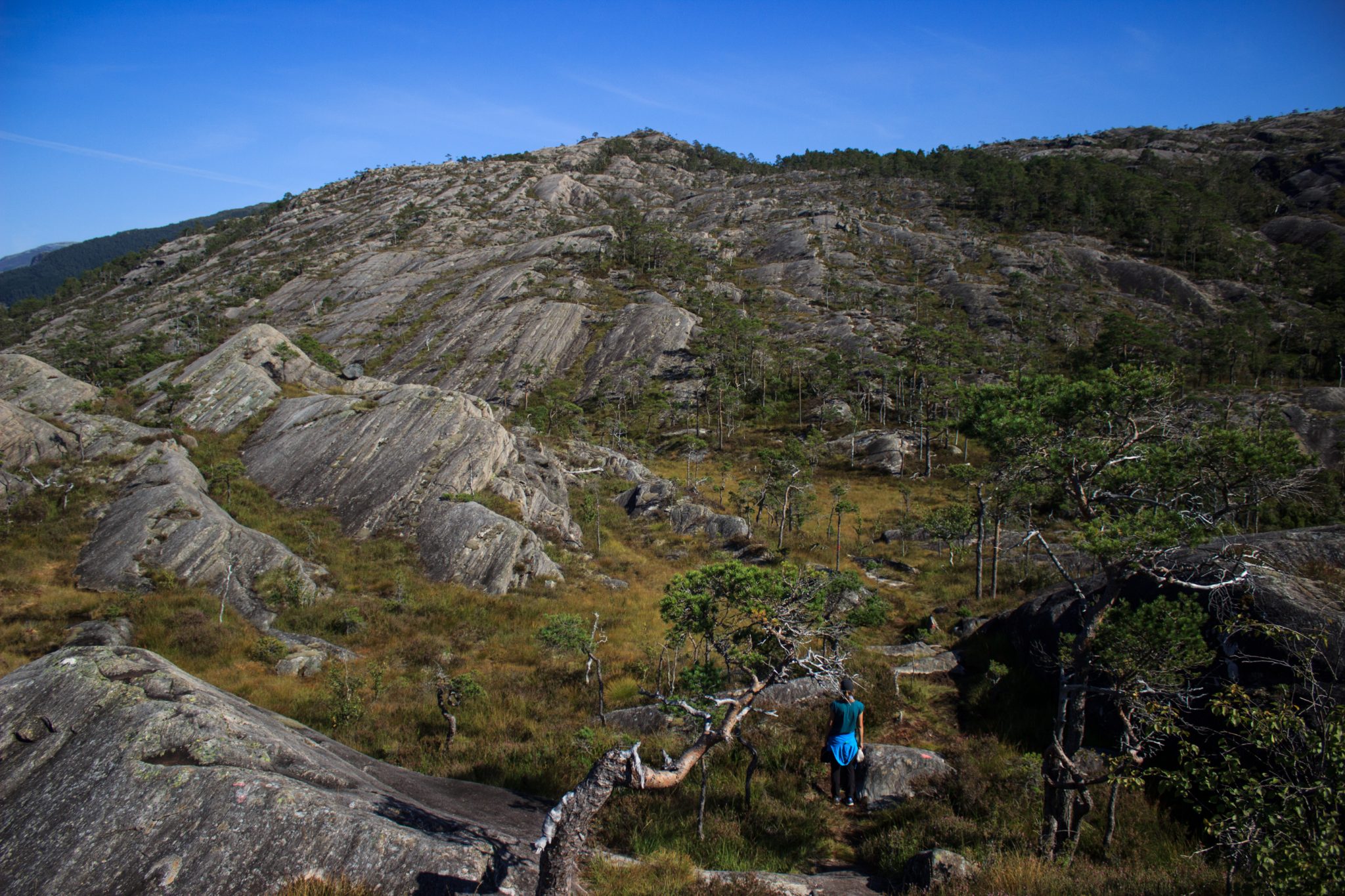 Wanderung beim Hardangerfjord auf den Haugsvarden, Start beim Rastplatz Hereiane zwischen Jondal und Herand an der Straße 550, sehr steiler Anstieg über große, glatte Felsen, fast die ganze Zeit schöne Aussicht auf den Fjord, bei Regen nicht empfehlenswert