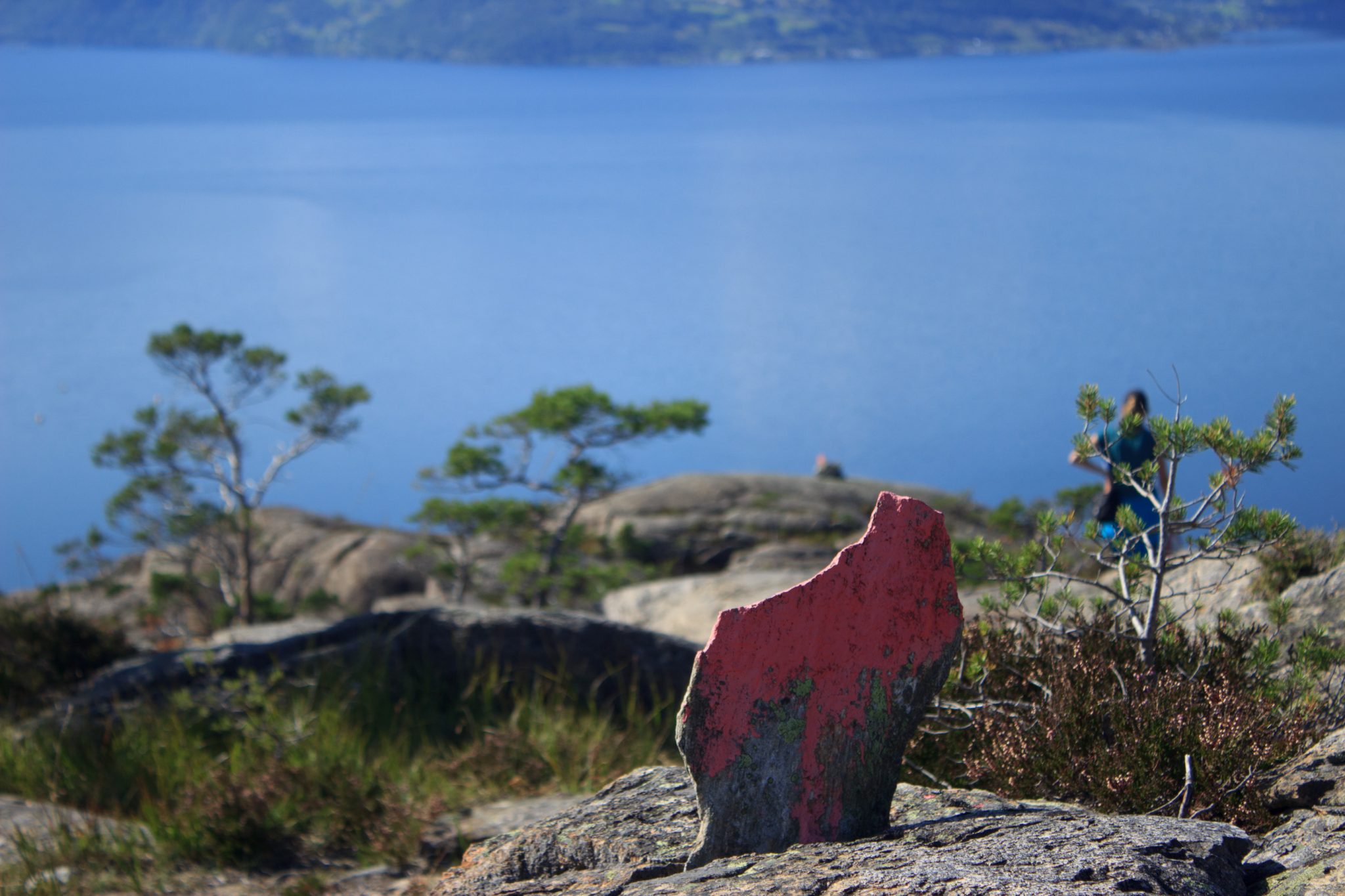 Wanderung beim Hardangerfjord auf den Haugsvarden, Start beim Rastplatz Hereiane zwischen Jondal und Herand an der Straße 550, sehr steiler Anstieg über große, glatte Felsen, fast die ganze Zeit schöne Aussicht auf den Fjord, bei Regen nicht empfehlenswert