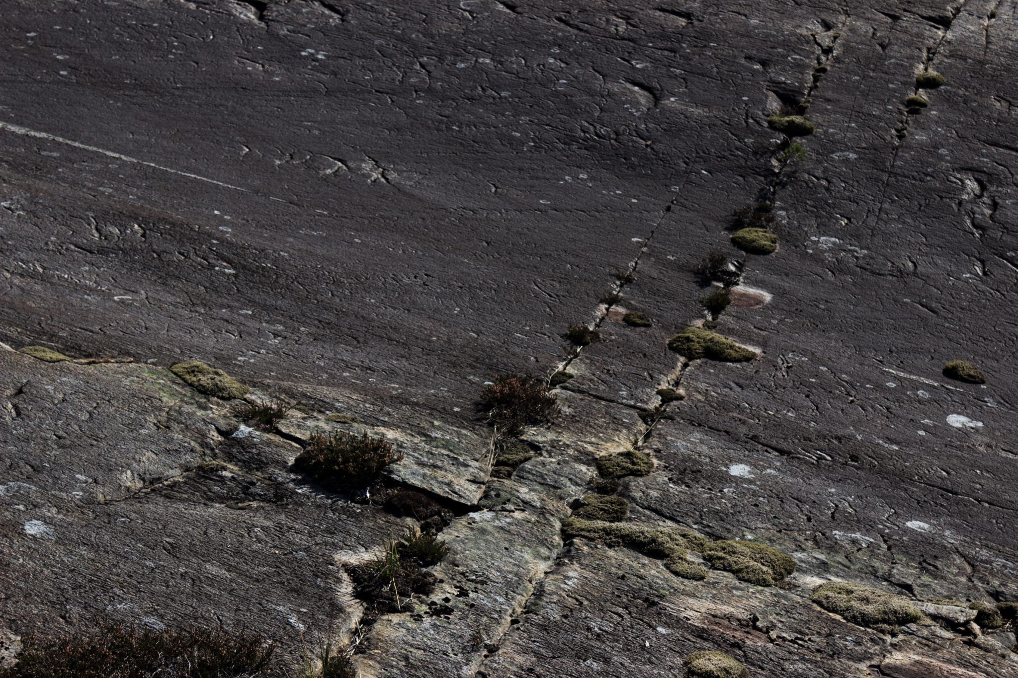 Wanderung beim Hardangerfjord auf den Haugsvarden, Start beim Rastplatz Hereiane zwischen Jondal und Herand an der Straße 550, sehr steiler Anstieg über große, glatte Felsen, fast die ganze Zeit schöne Aussicht auf den Fjord, bei Regen nicht empfehlenswert