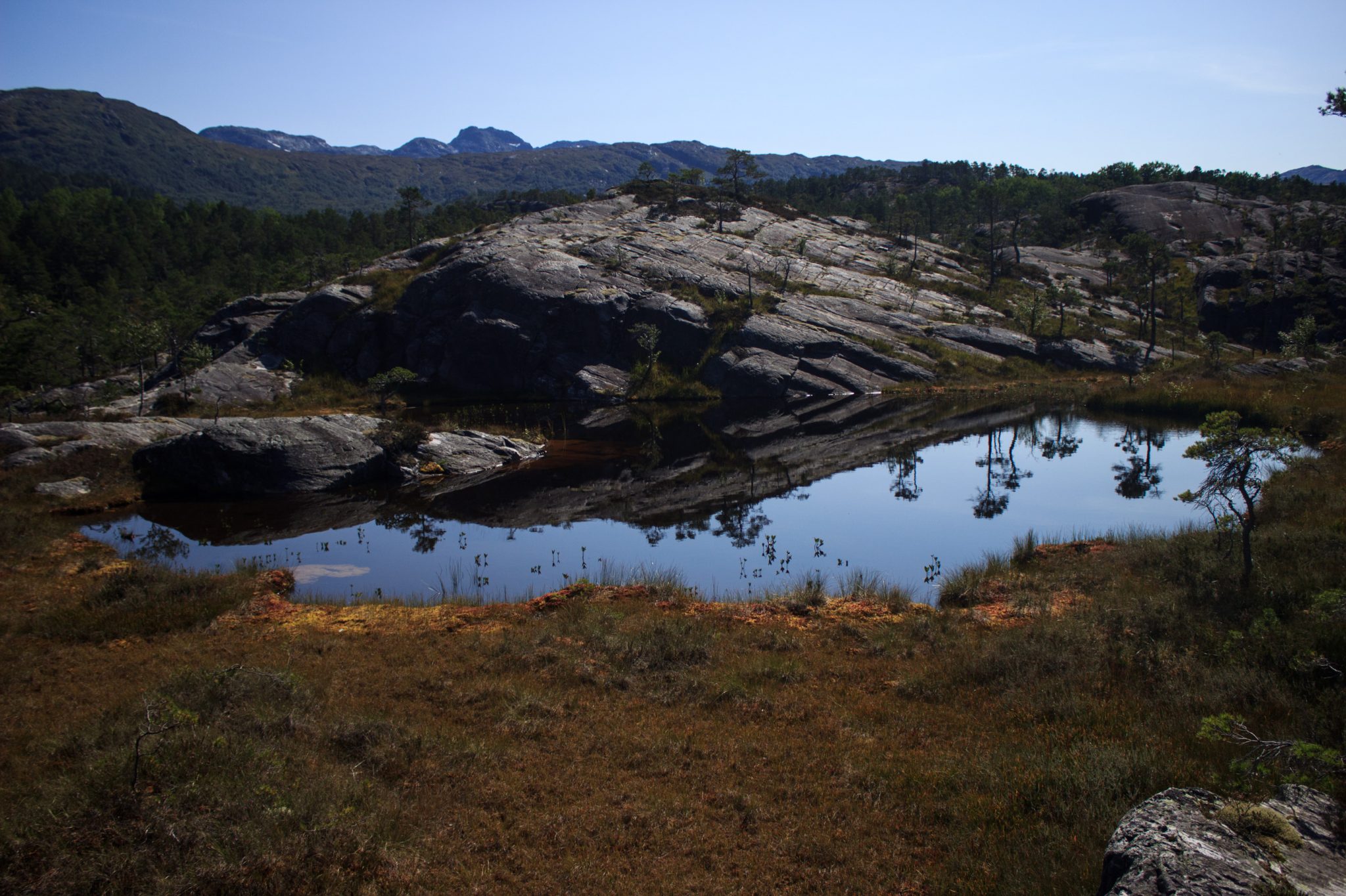 Wanderung beim Hardangerfjord auf den Haugsvarden, Start beim Rastplatz Hereiane zwischen Jondal und Herand an der Straße 550, sehr steiler Anstieg über große, glatte Felsen, fast die ganze Zeit schöne Aussicht auf den Fjord, bei Regen nicht empfehlenswert