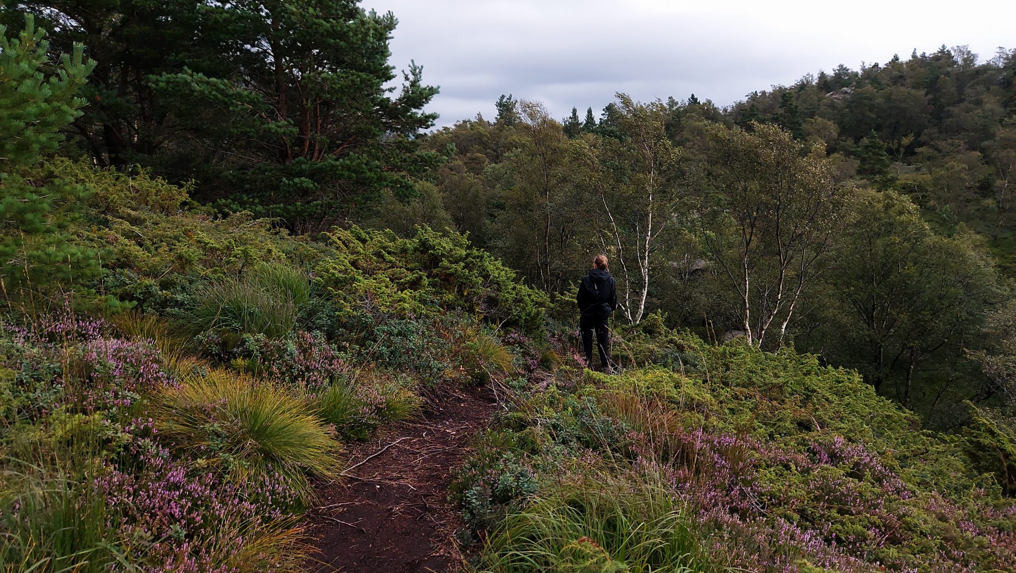 Wanderung beim Lysefjord mit Blick auf den Preikestolen, Startpunkt der Wanderung auf den Sokkaknuten ist beim Lysefjord Hyttegrend, Aussicht auf den Pulpit Rock, Wanderer unterwegs auf dem Wanderweg zum Sokkaknuten
